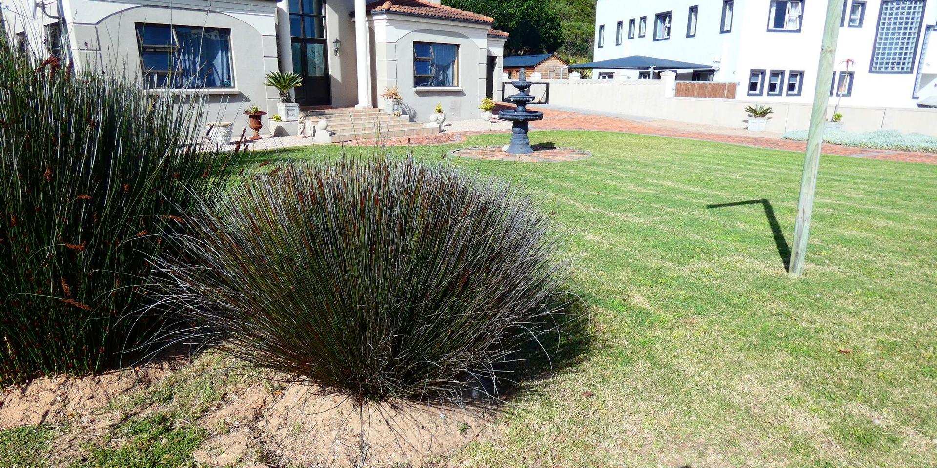 Image 2 of 6
