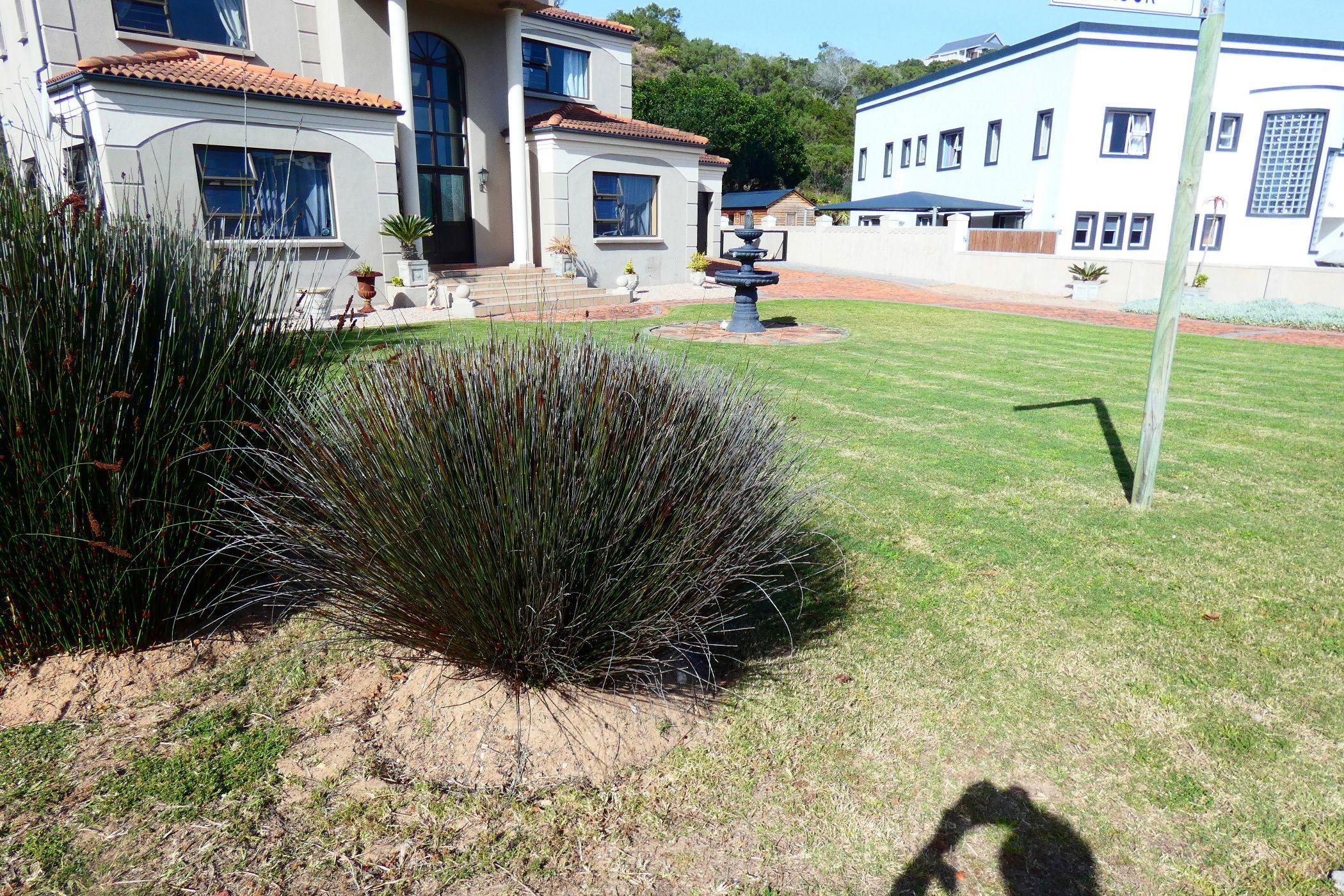 Image 2 of 6