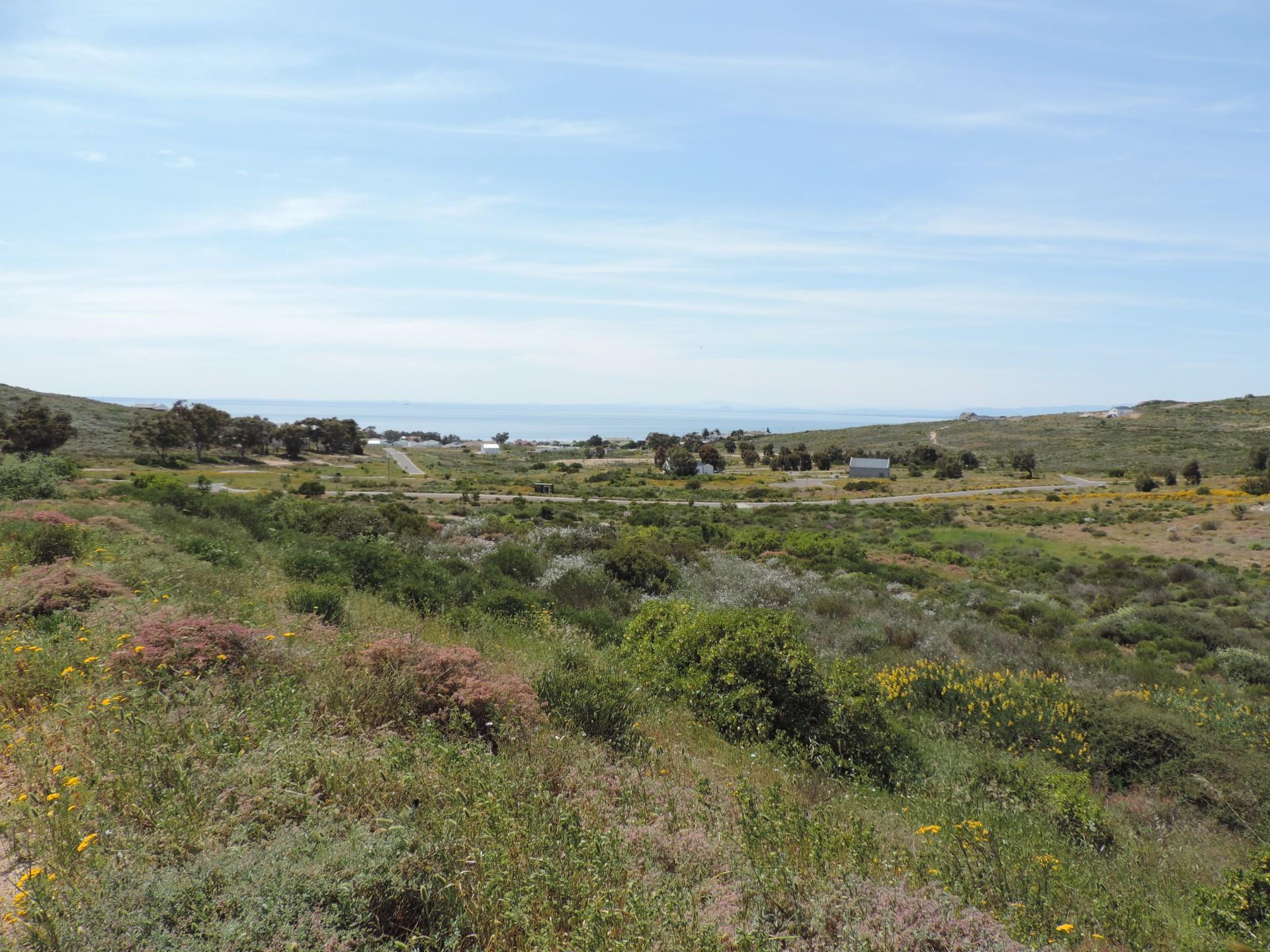 Image 13