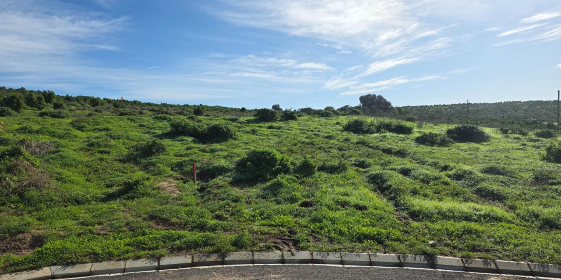 Image 2 of 6