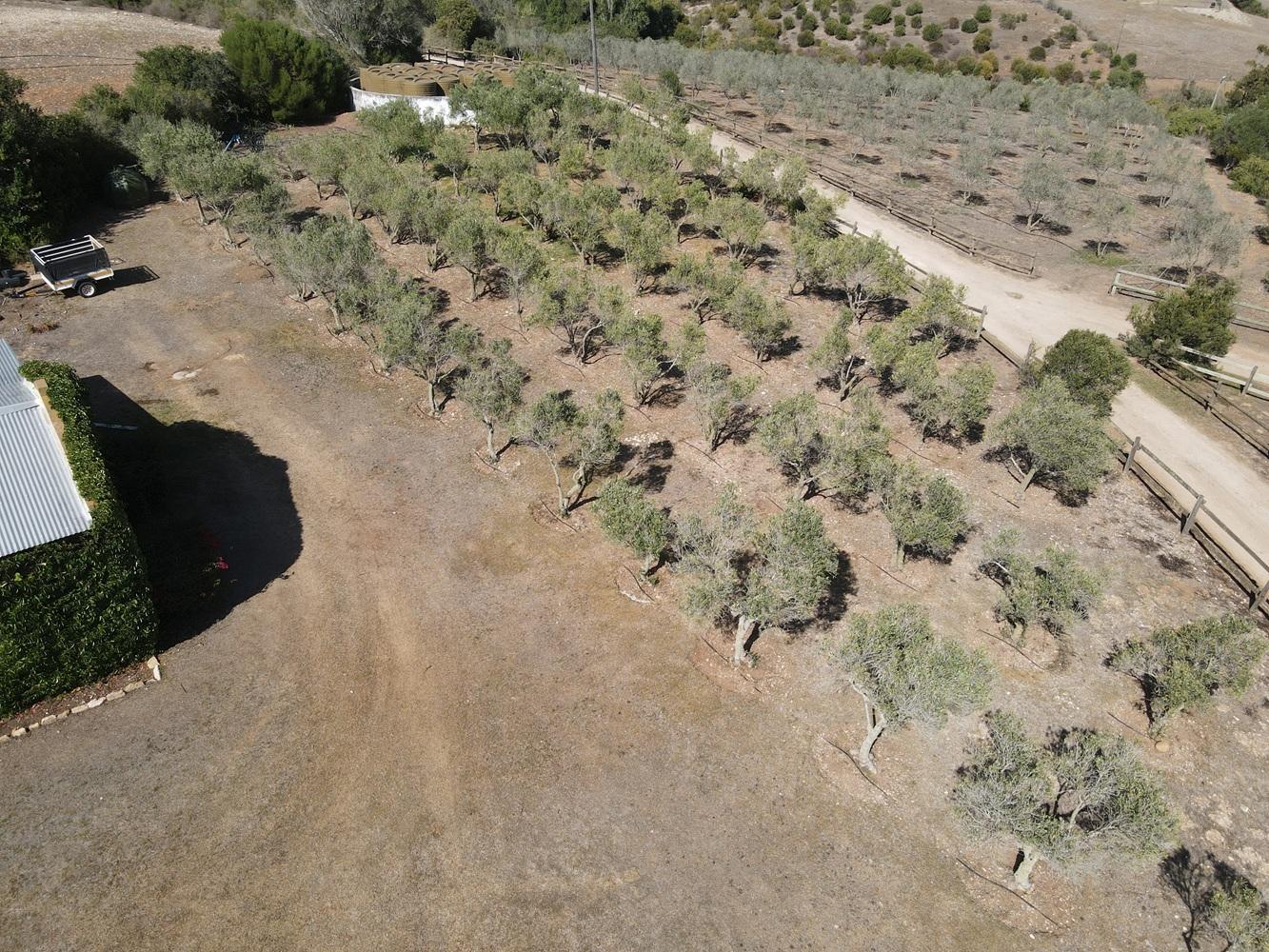Image 63