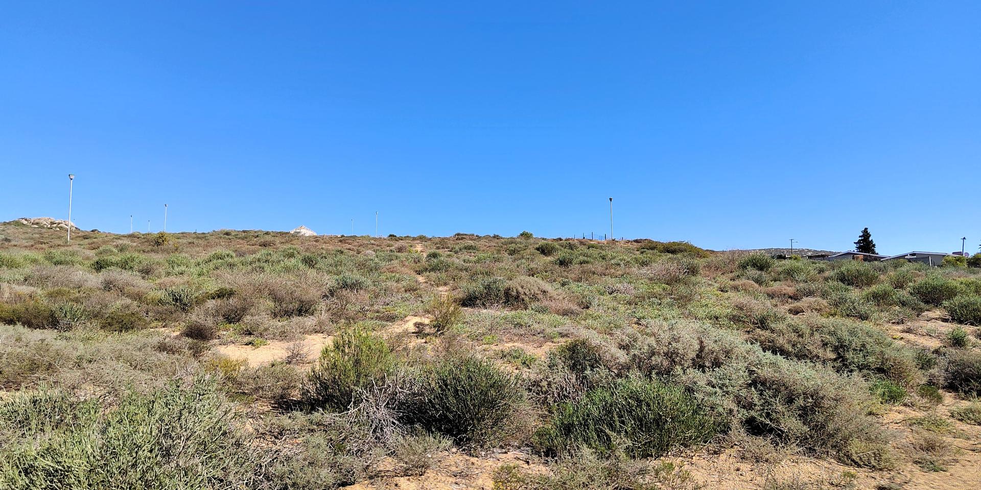 Image 3 of 6