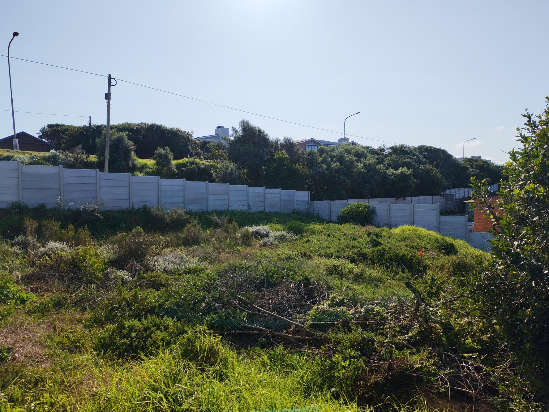 Image 5 of 6