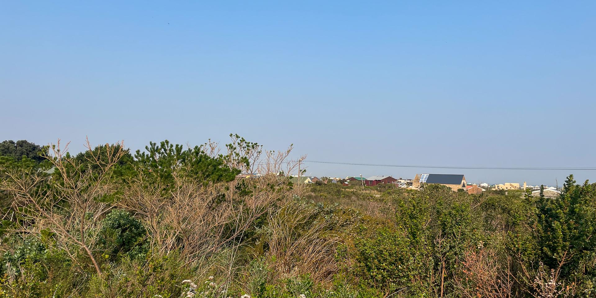 Image 4 of 6