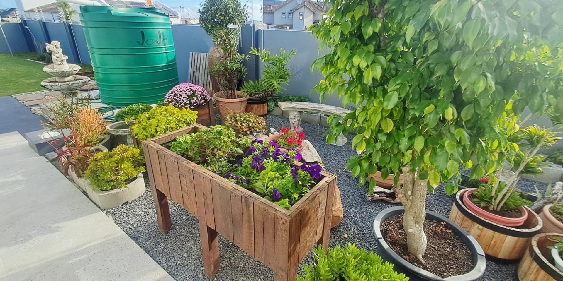 Image 5 of 6