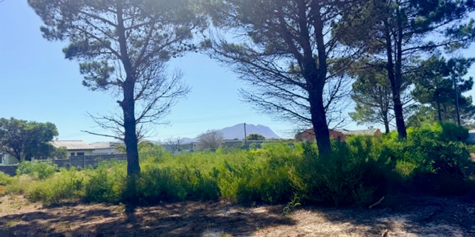 Image 5 of 6