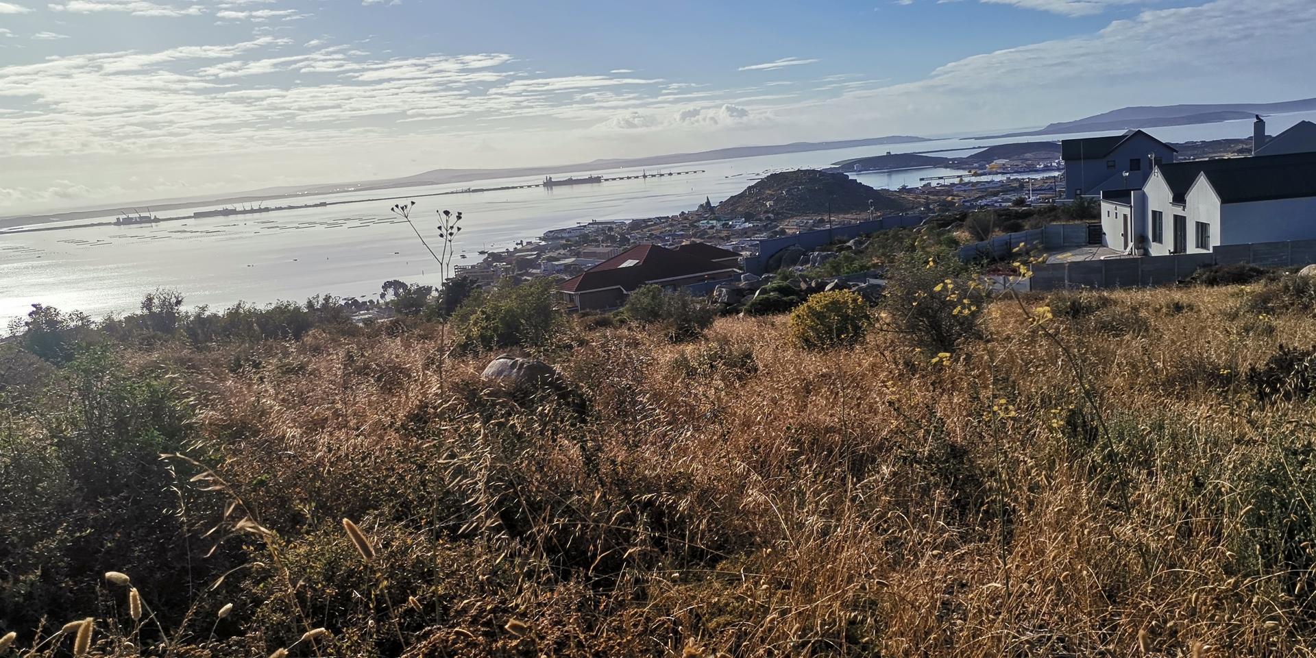 Image 4 of 6