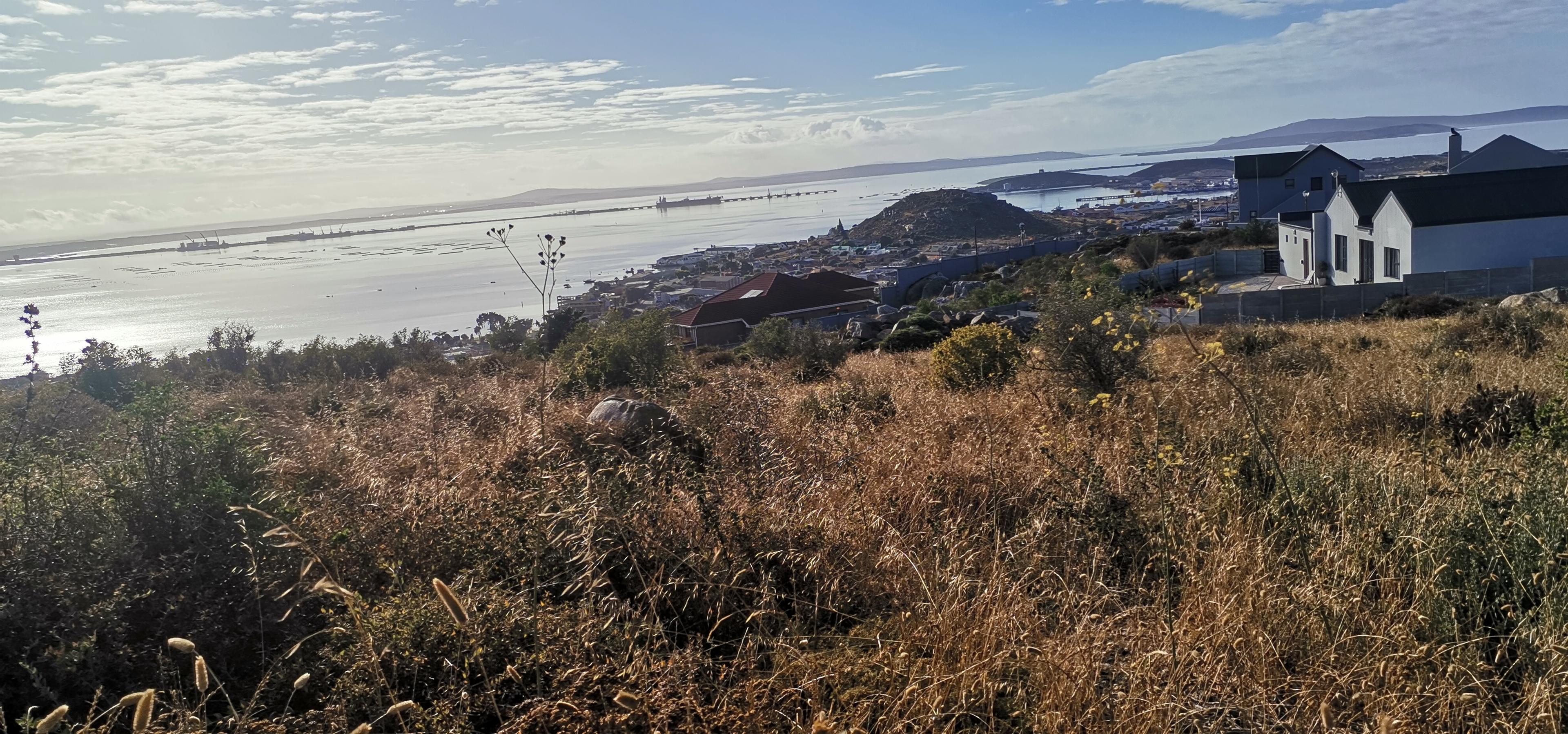 Image 4 of 6