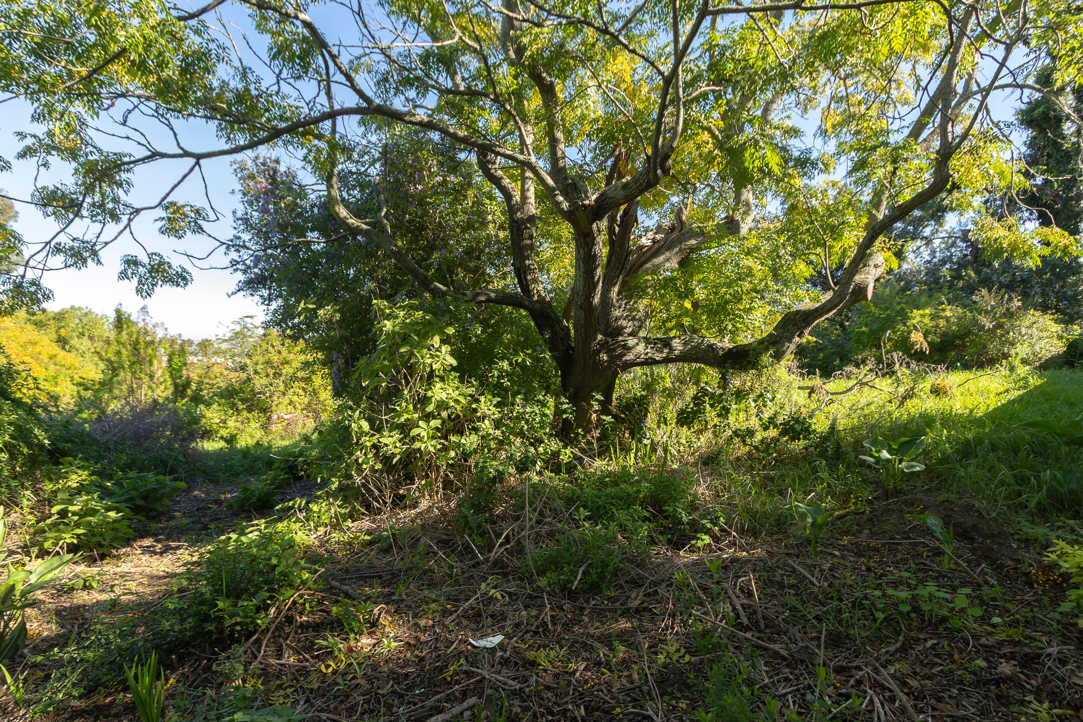 Image 14