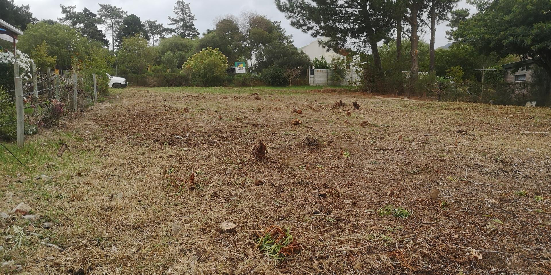 Image 4 of 6