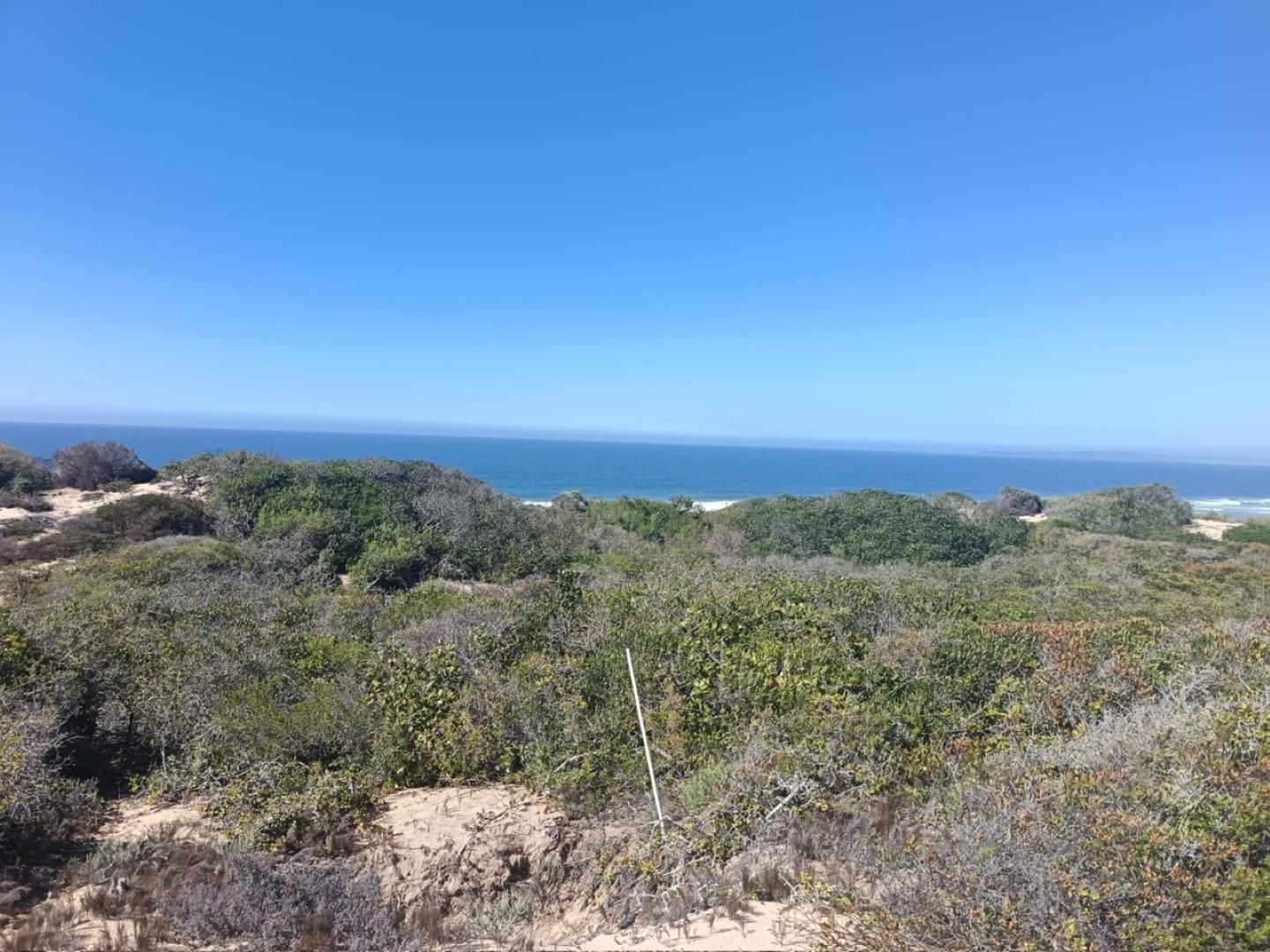 Image 5 of 6