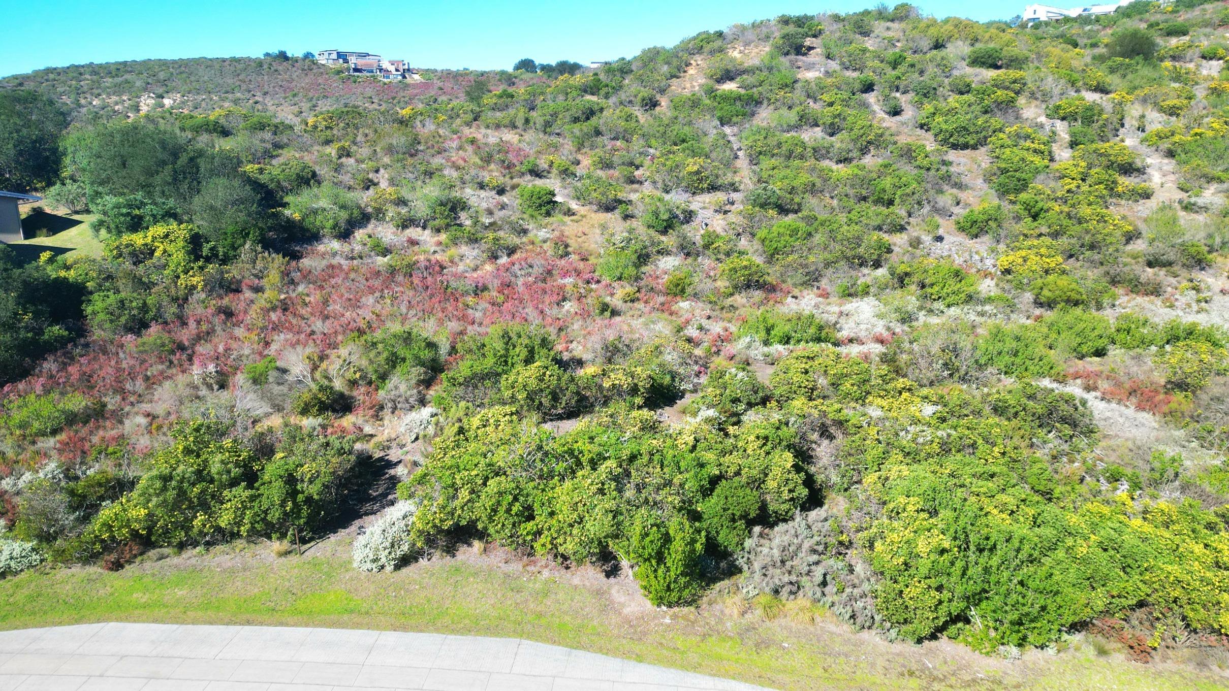 Image 2 of 6