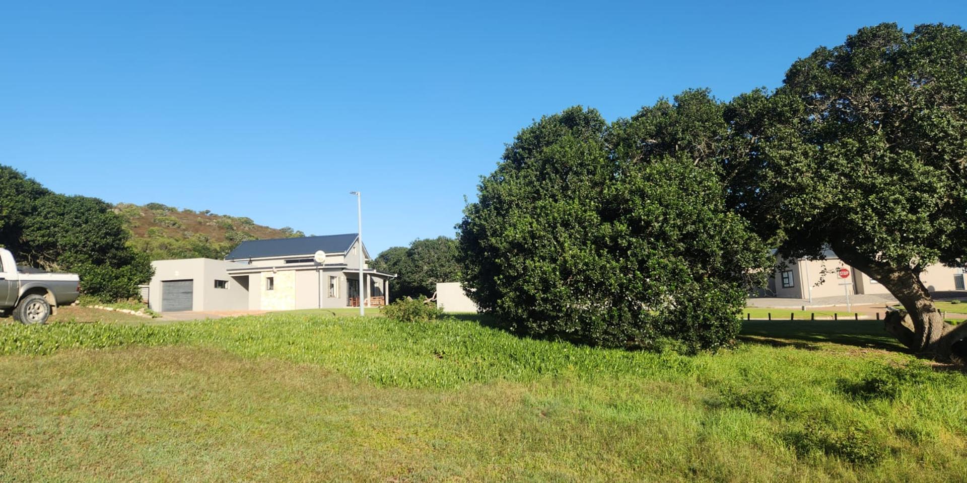 Image 4 of 6