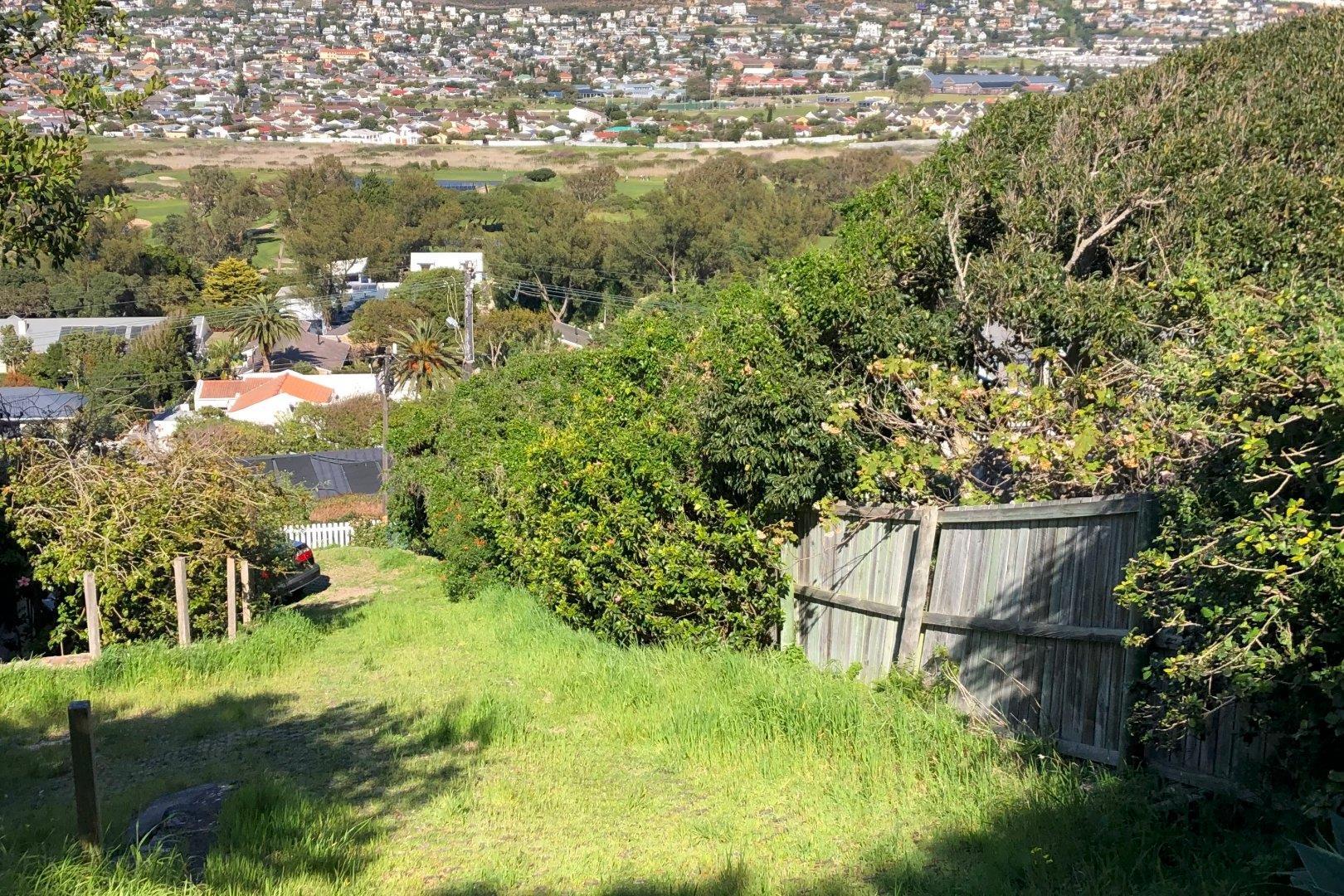 Image 13