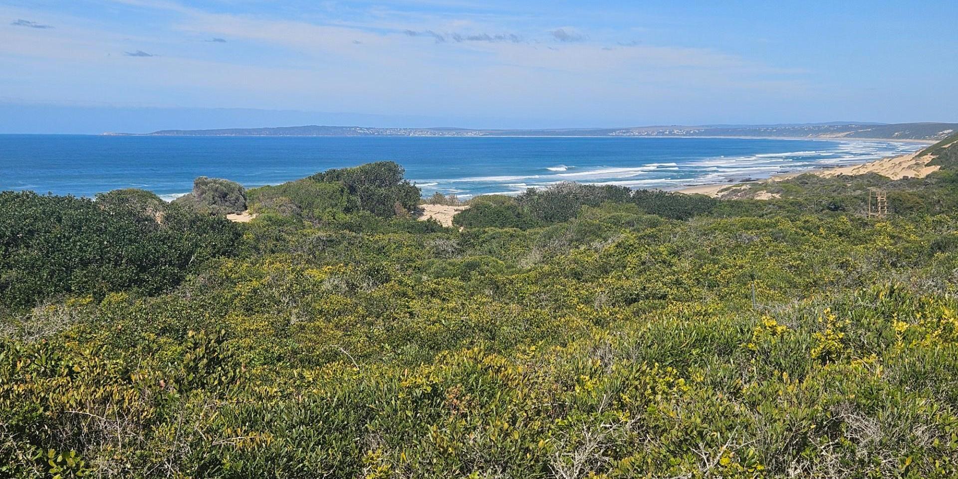 Image 4 of 6