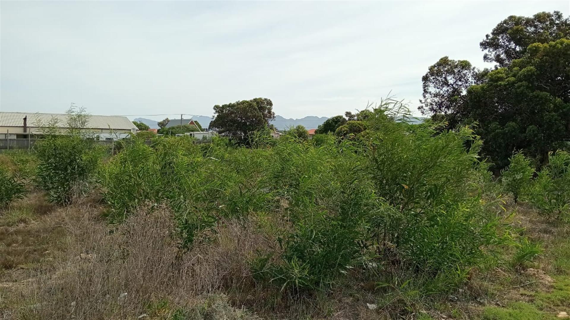 Image 7