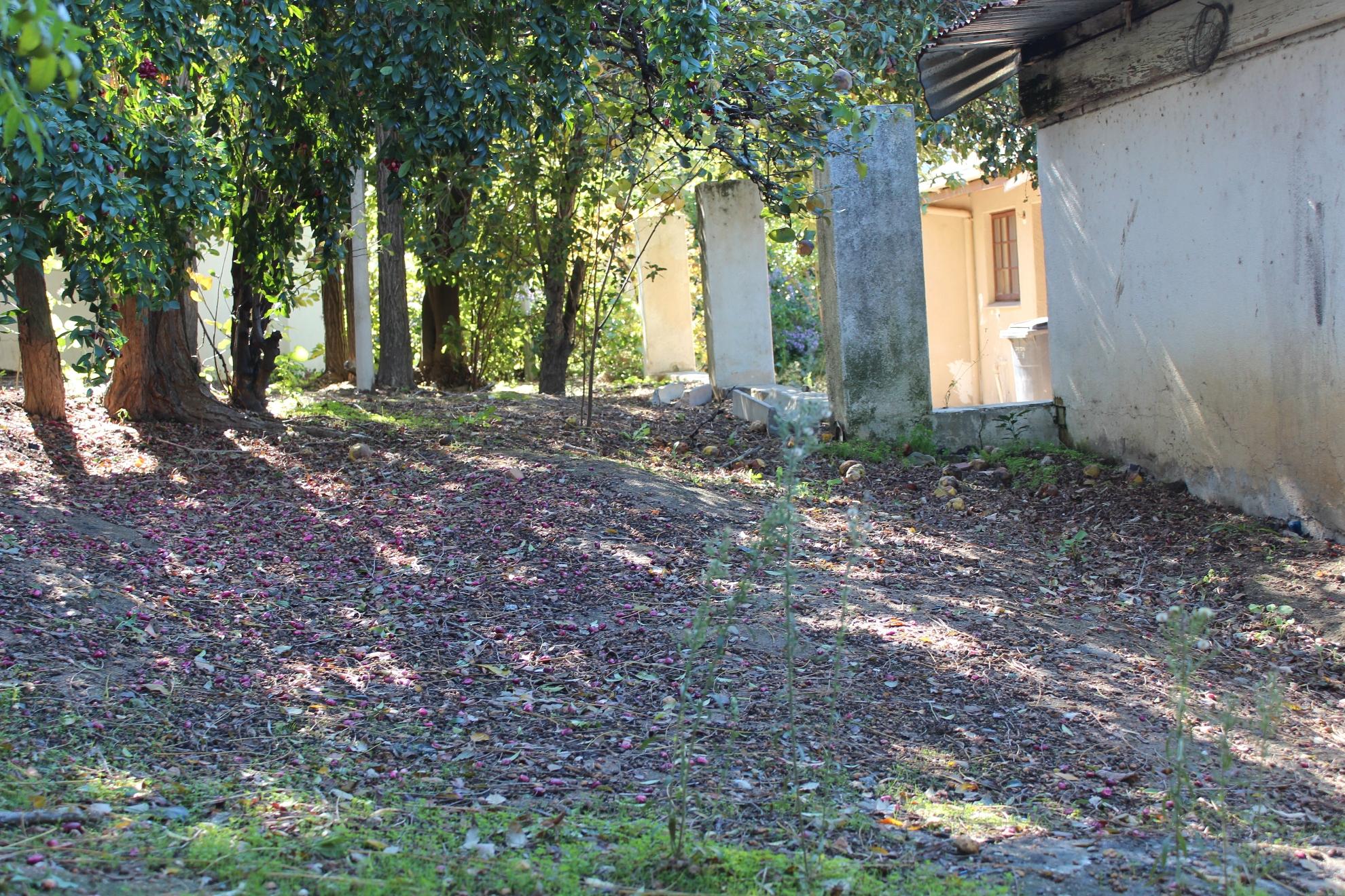 Image 5 of 6