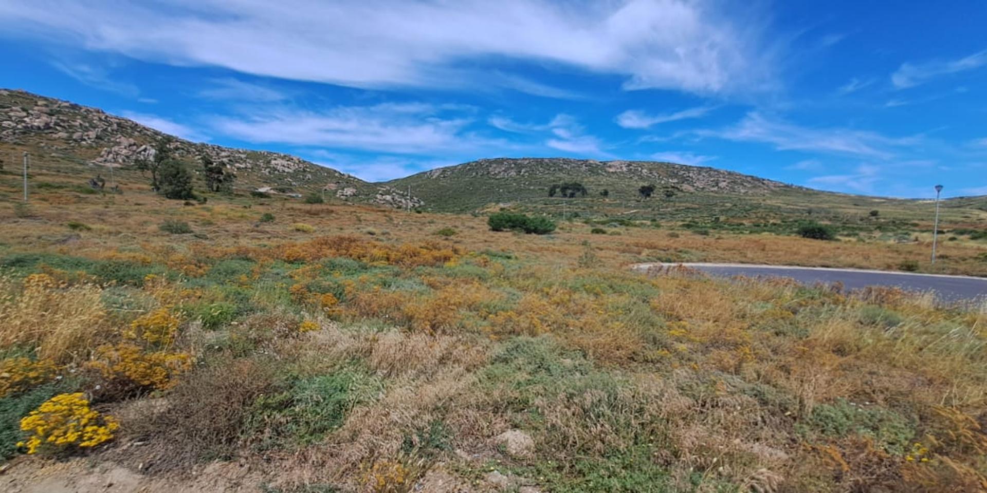 Image 4 of 6