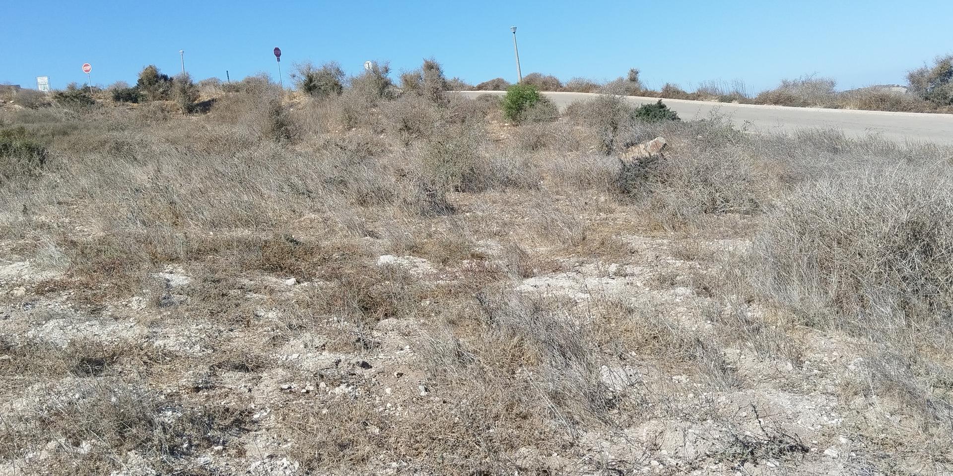 Image 3 of 6