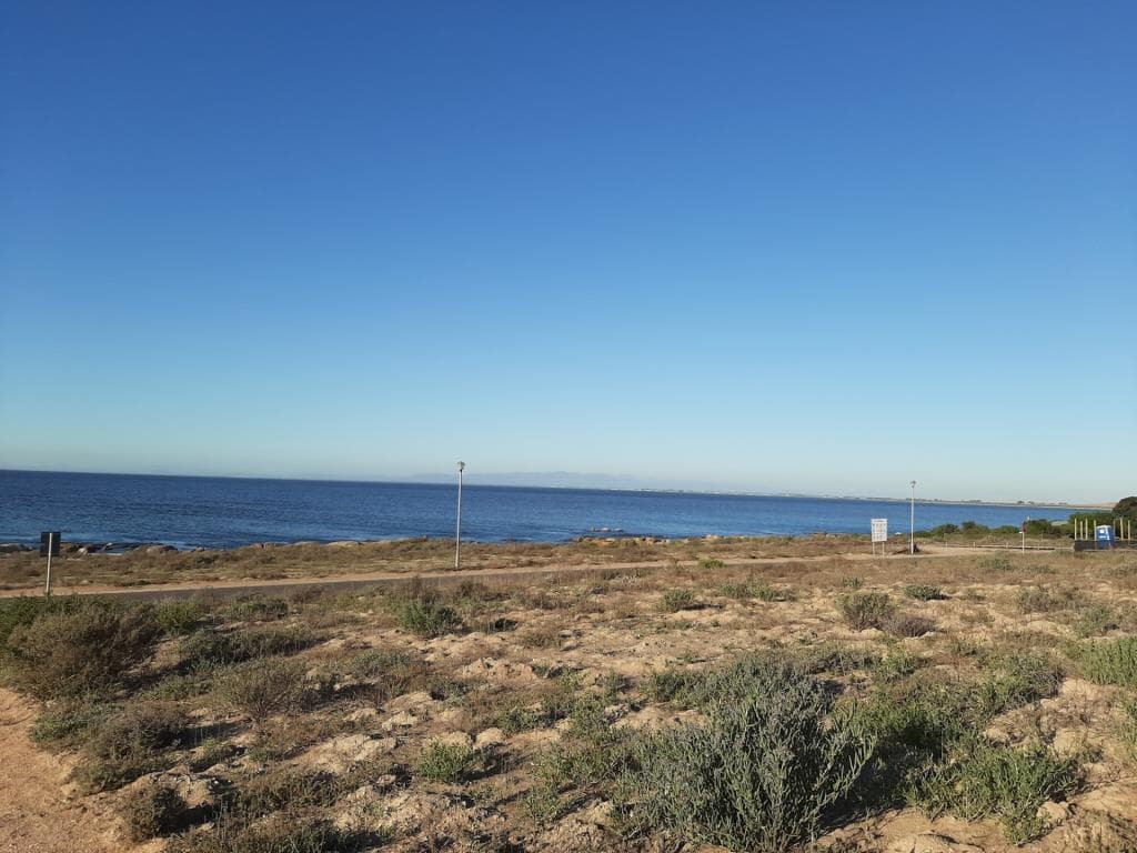 Image 5 of 6