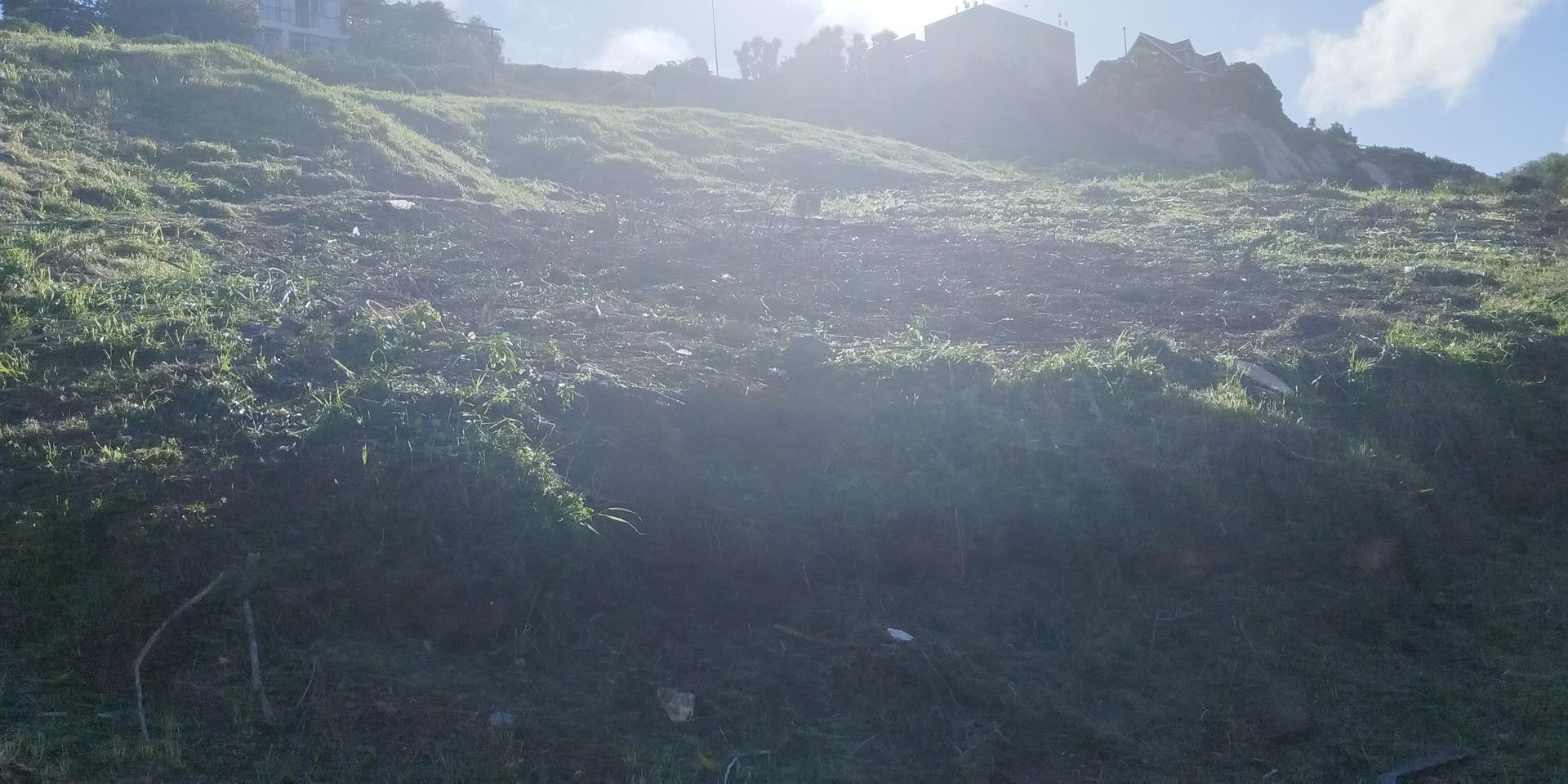 Image 5 of 6