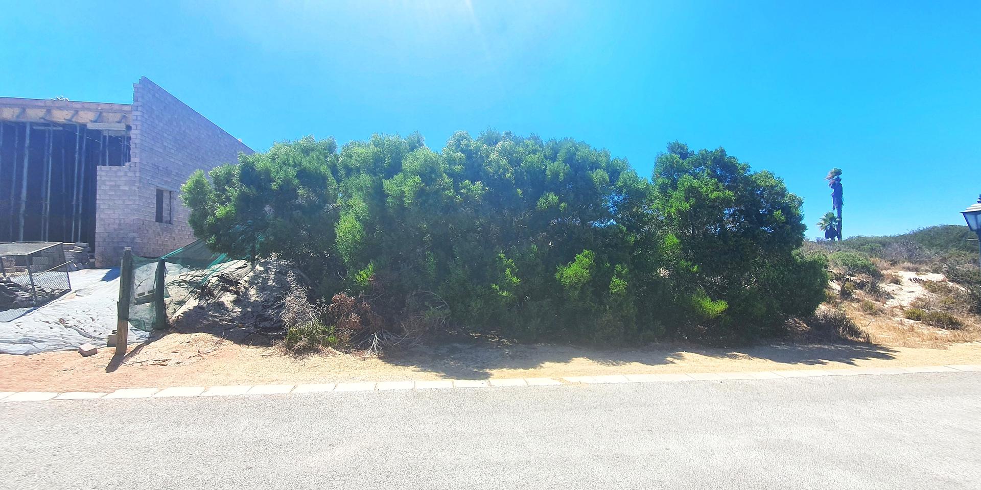 Image 5 of 6