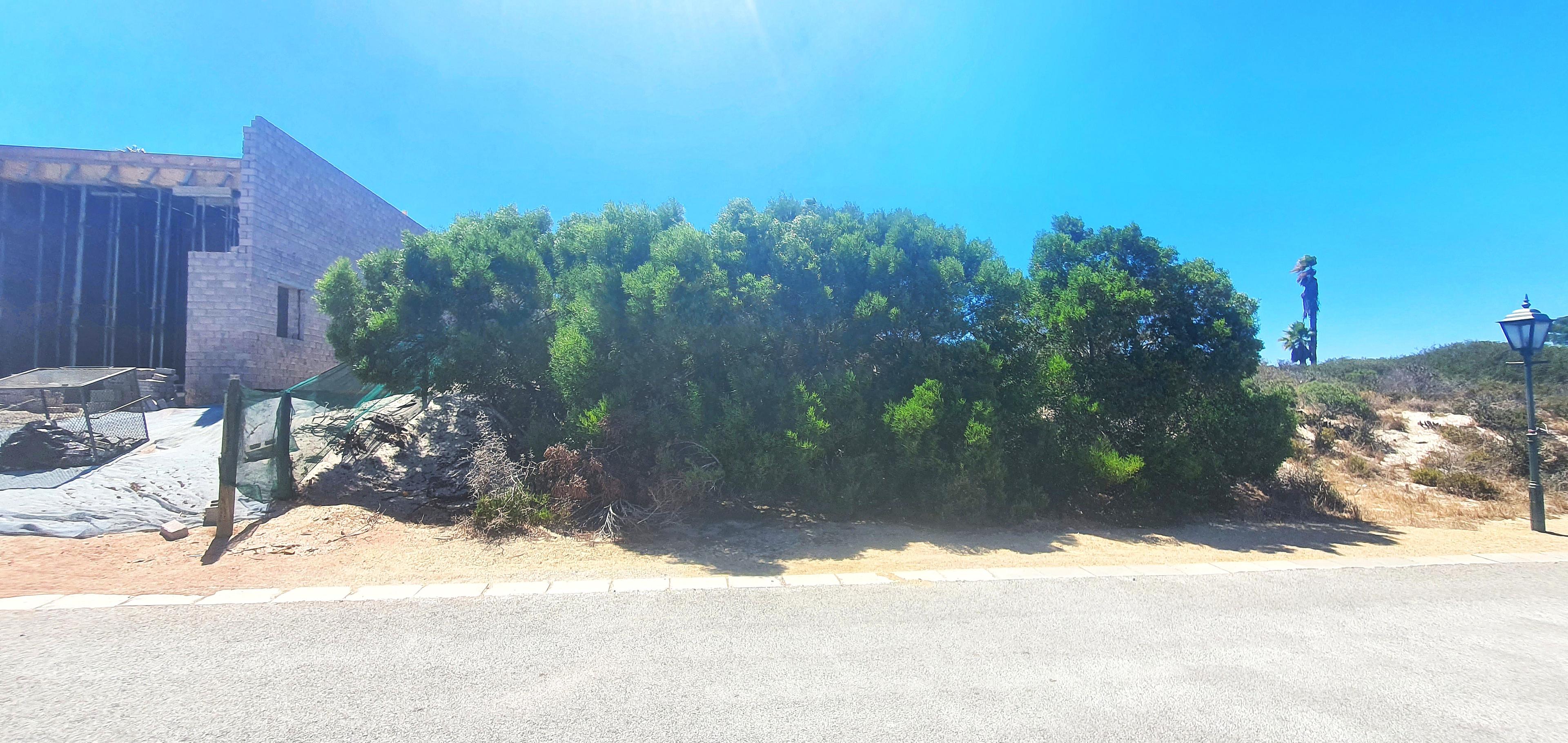 Image 5 of 6
