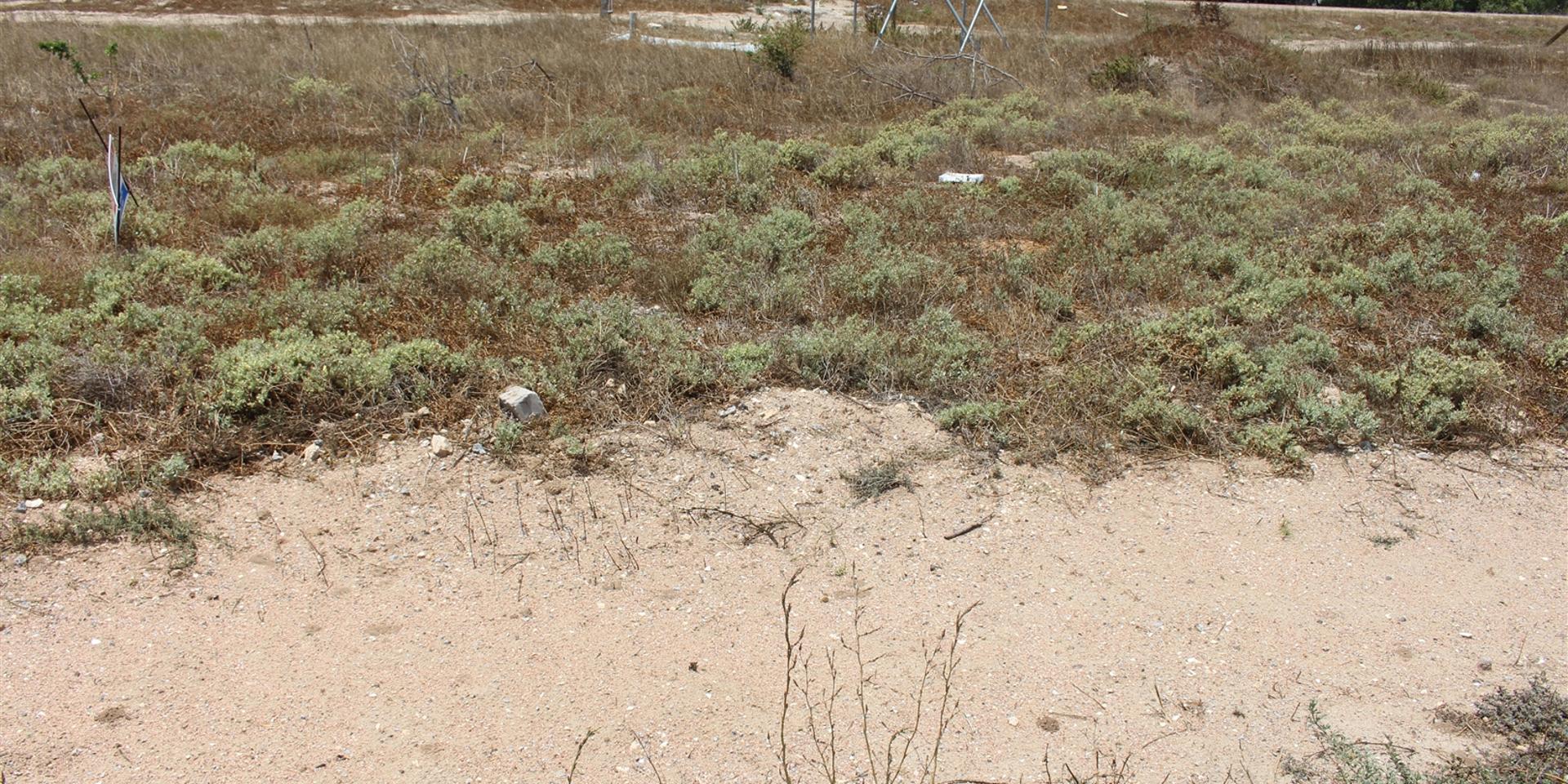 Image 4 of 6