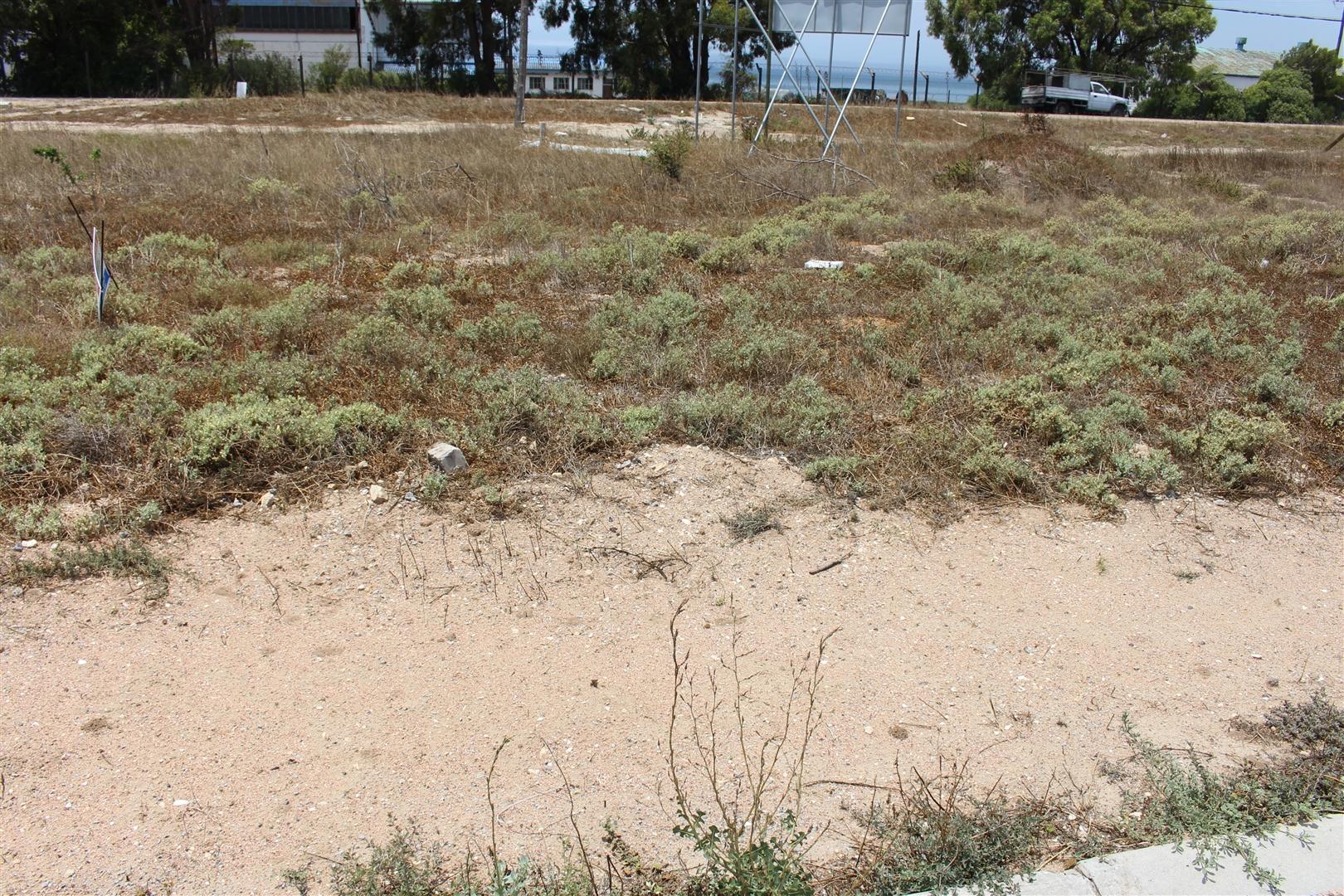 Image 4 of 6