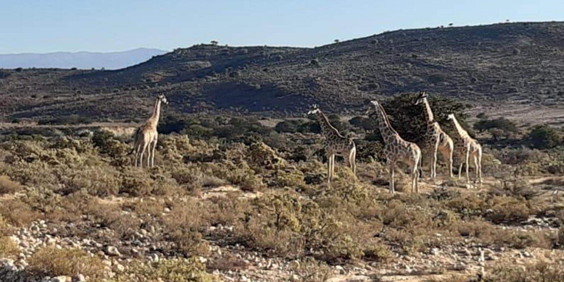 Image 4 of 6