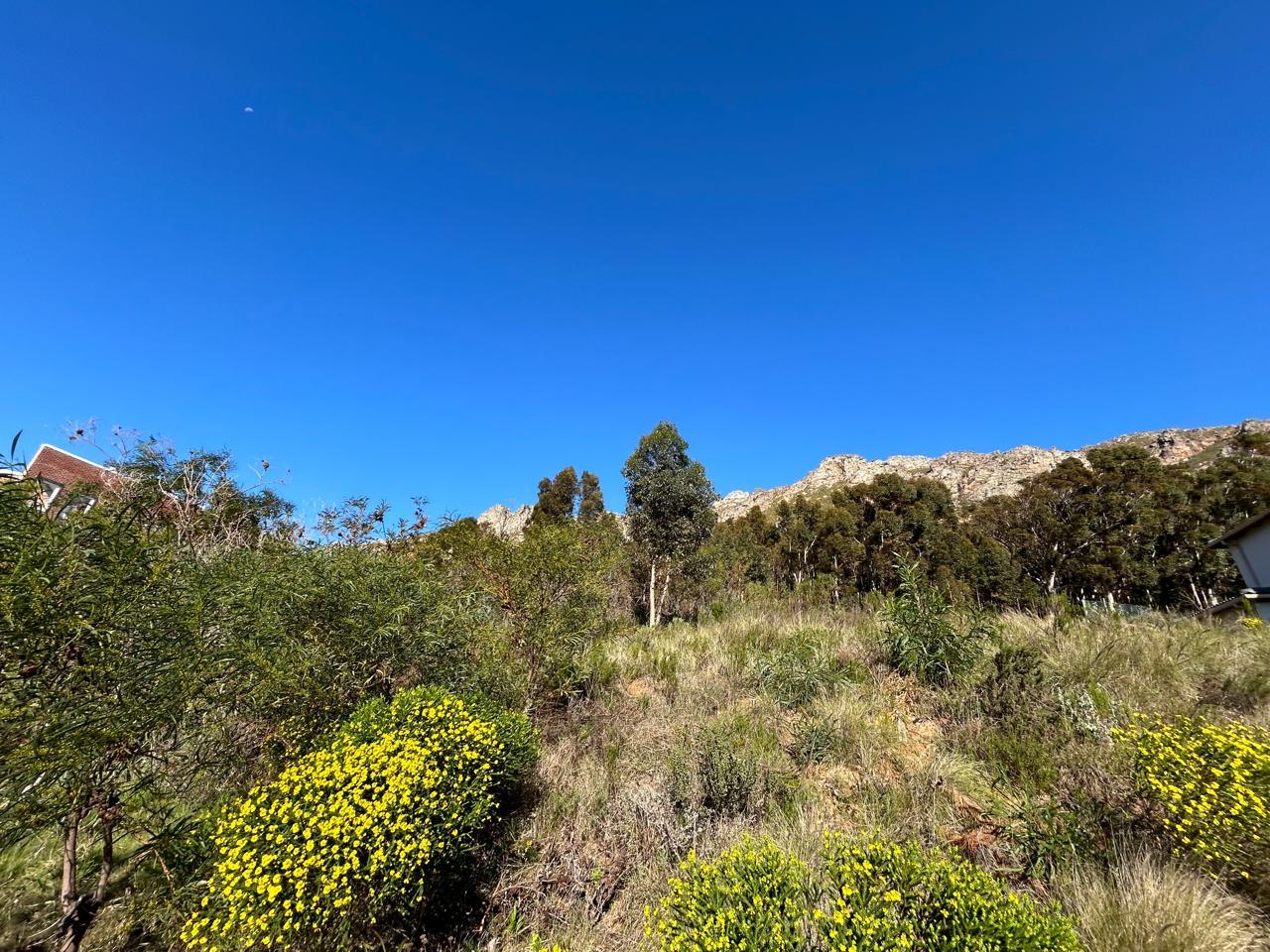 Image 2 of 6