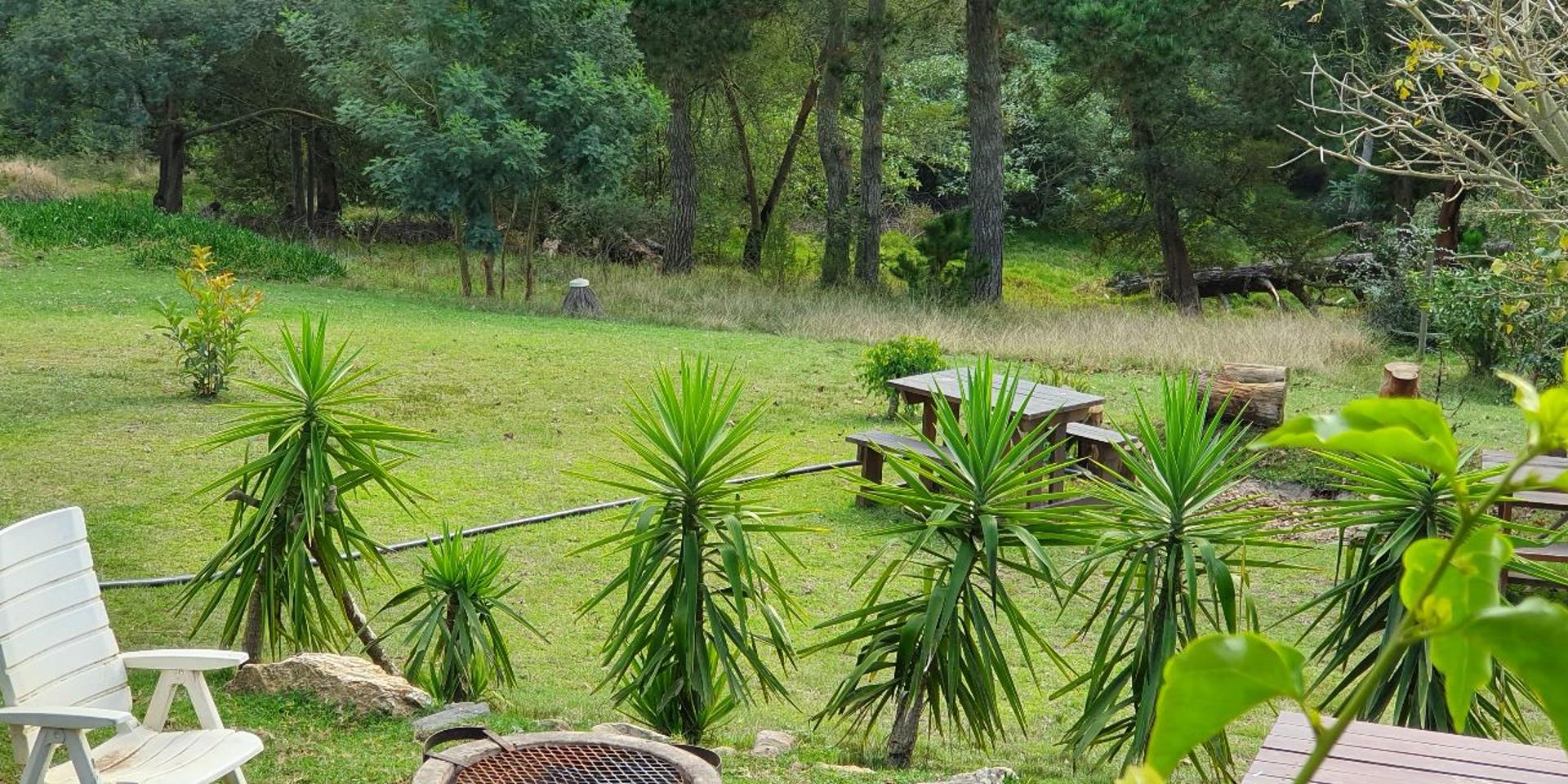 Image 2 of 6