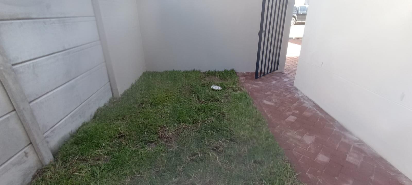 Image 19