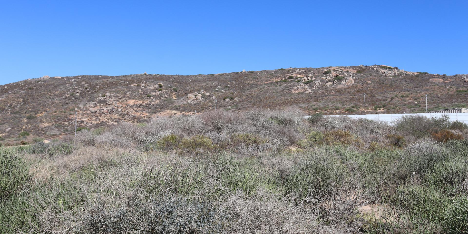 Image 5 of 6