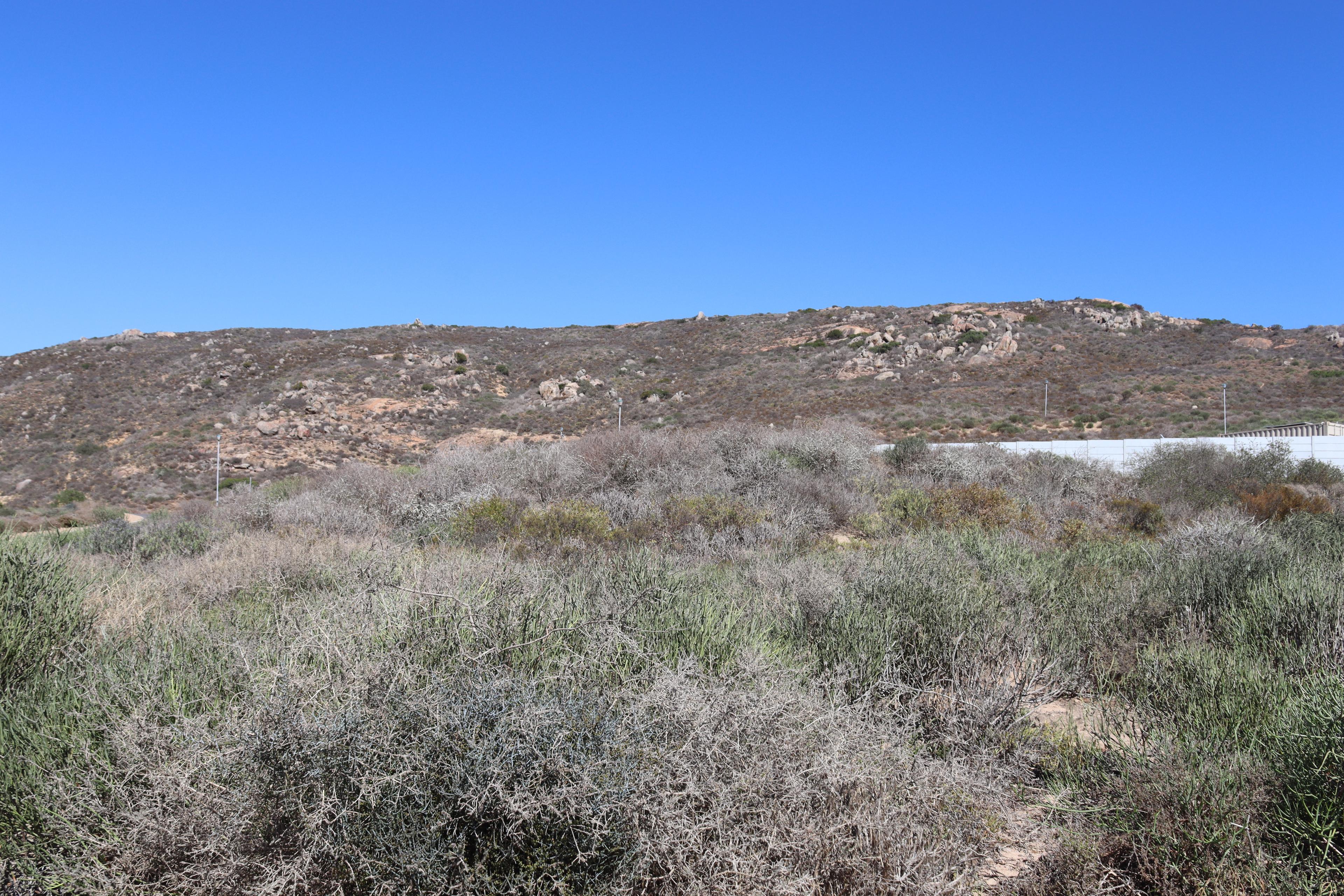 Image 5 of 6