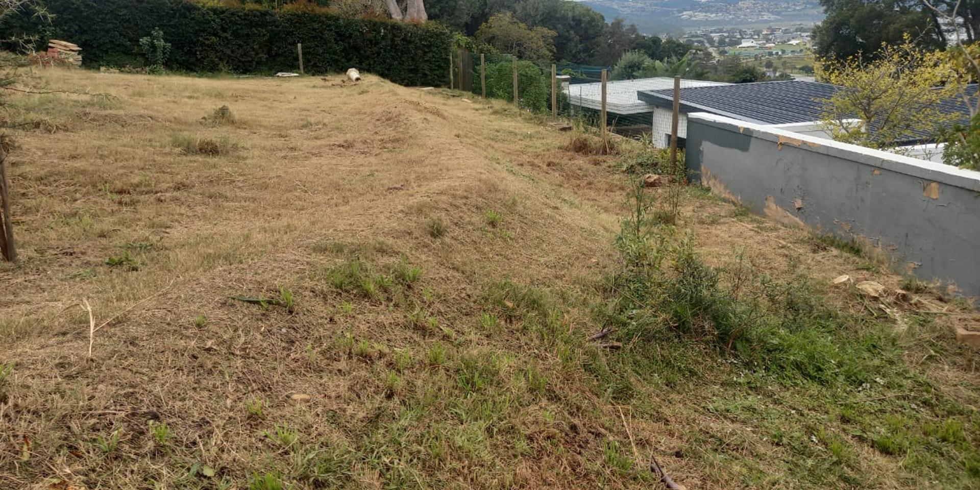 Image 4 of 6