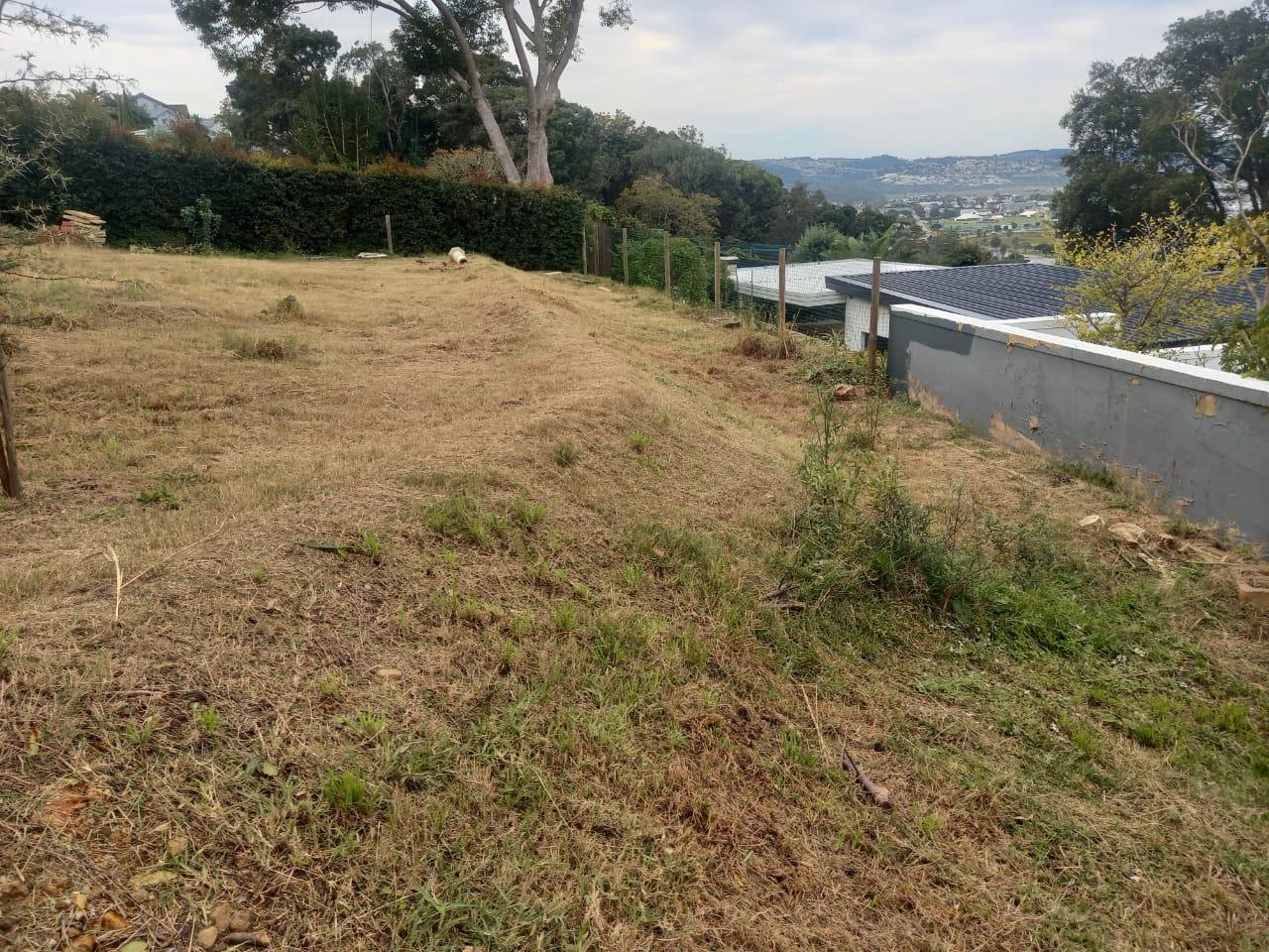 Image 4 of 6
