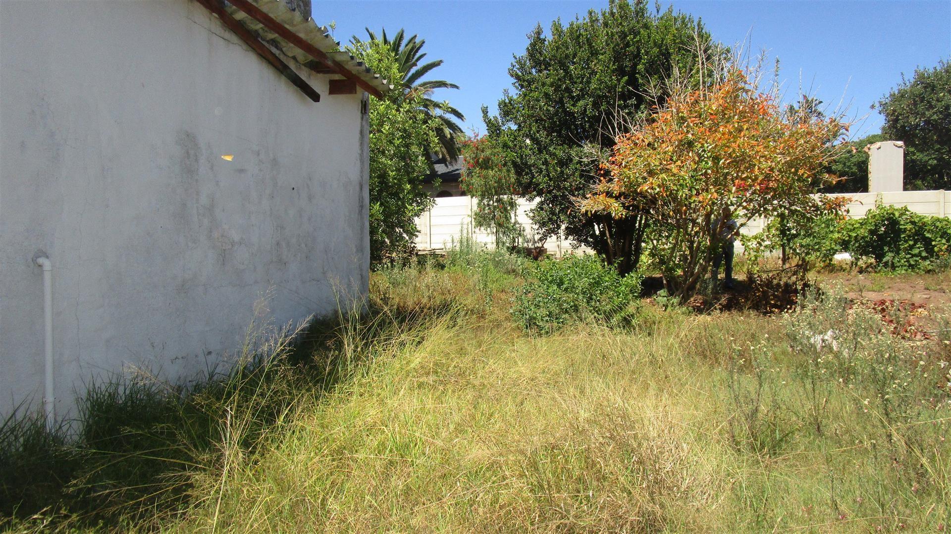Image 5 of 6
