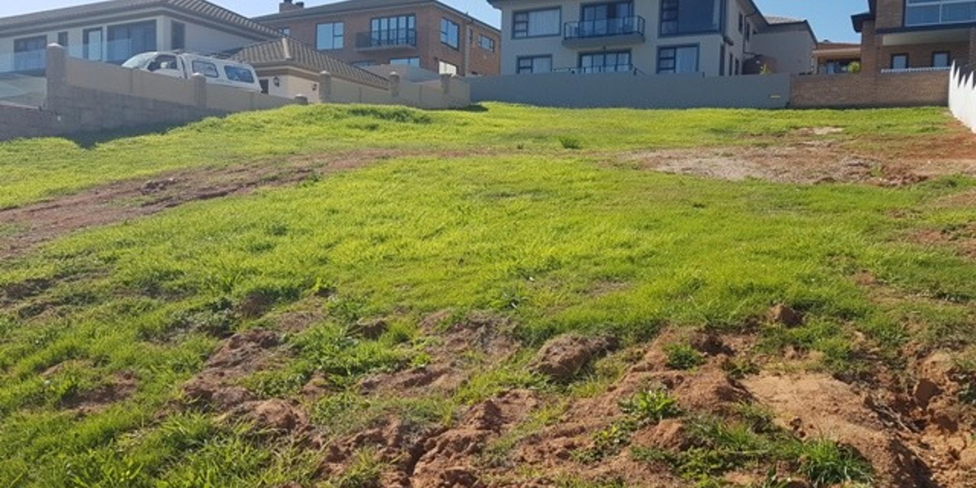 Image 5 of 6