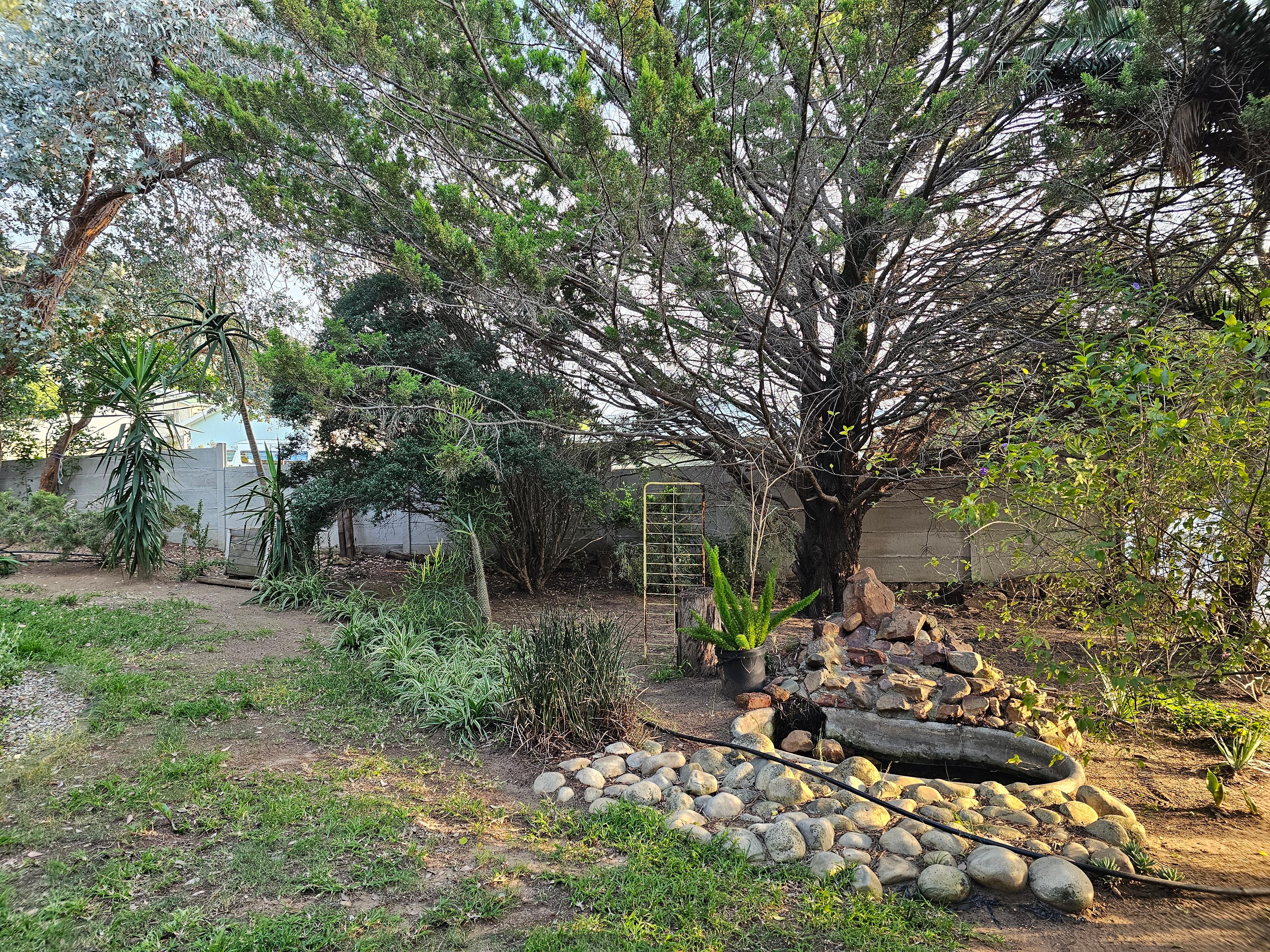 Image 13