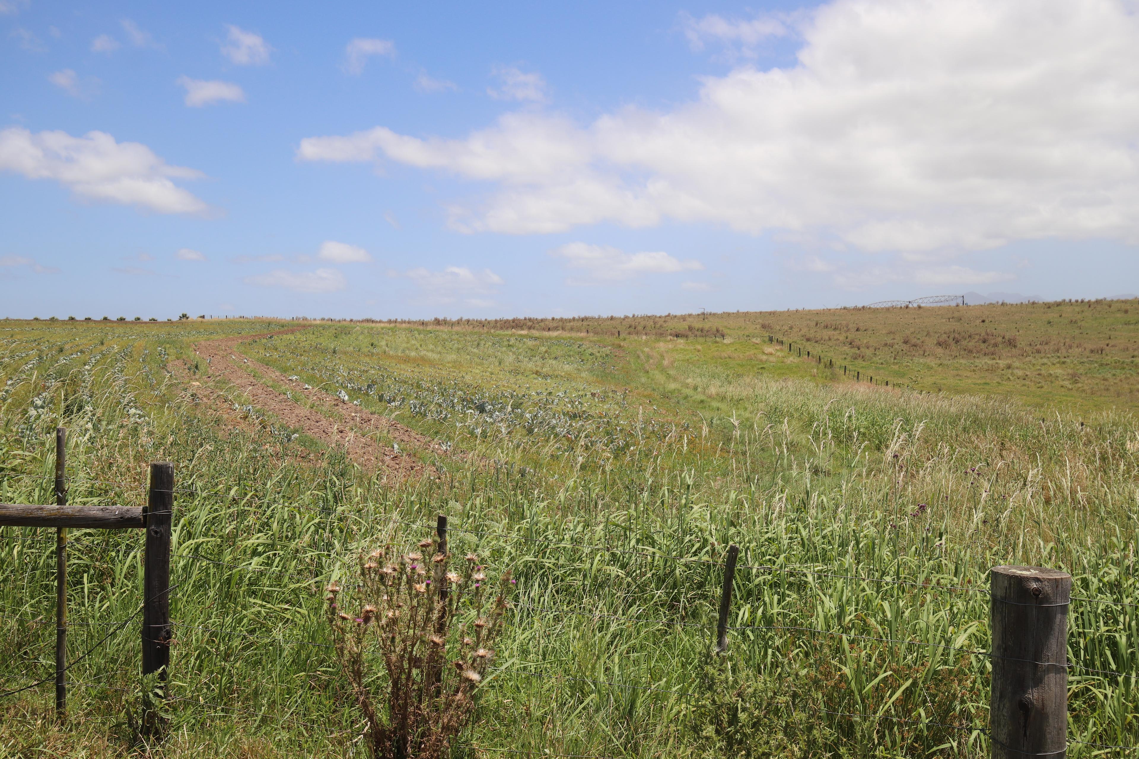 Image 20