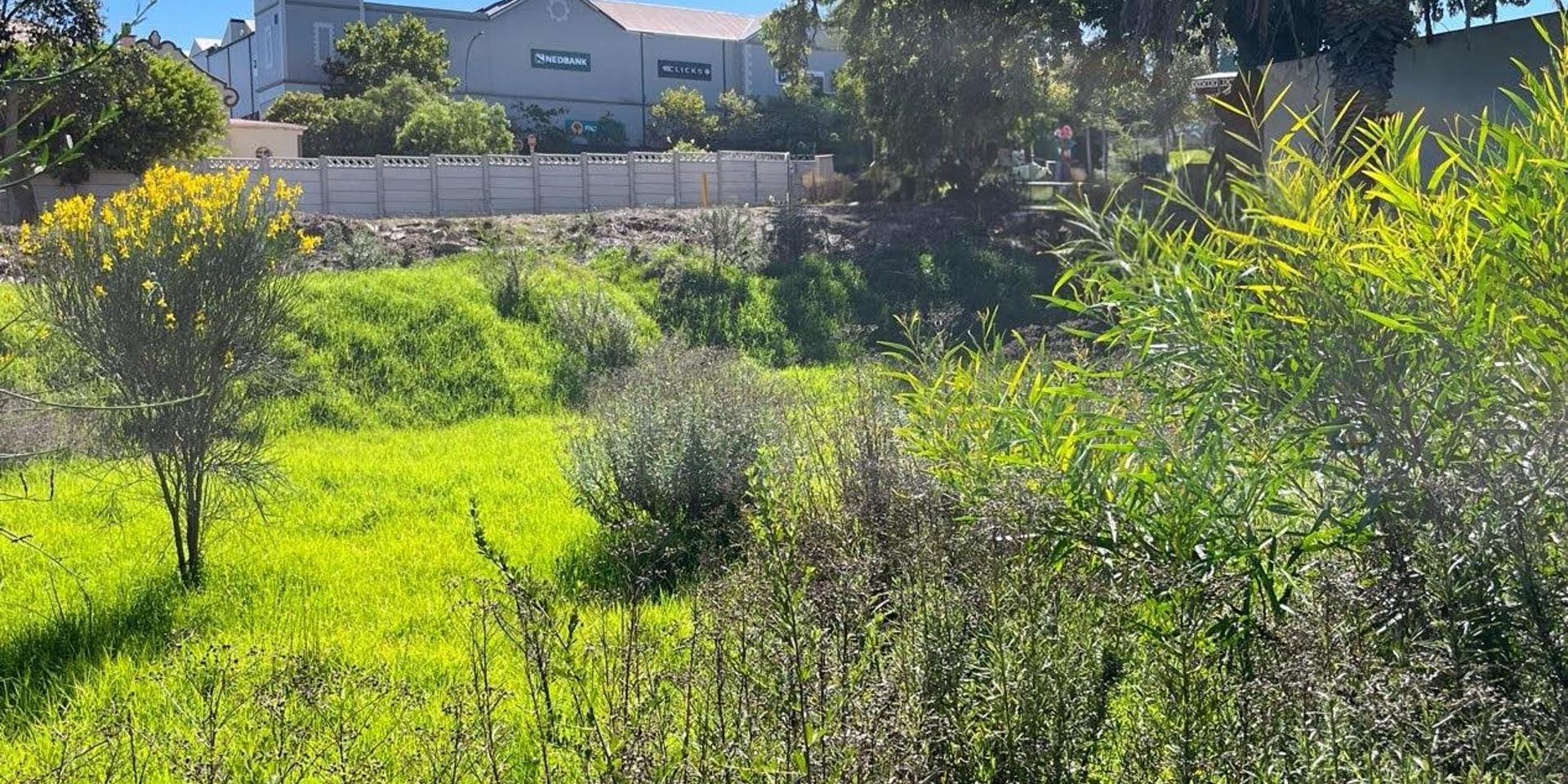 Image 2 of 6
