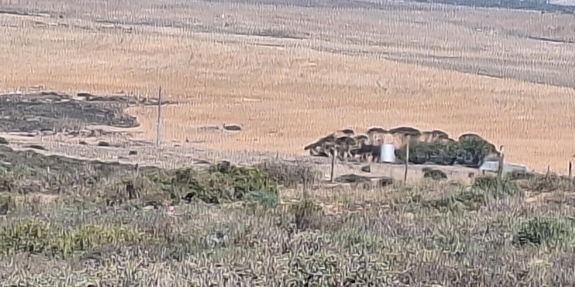 Image 2 of 6