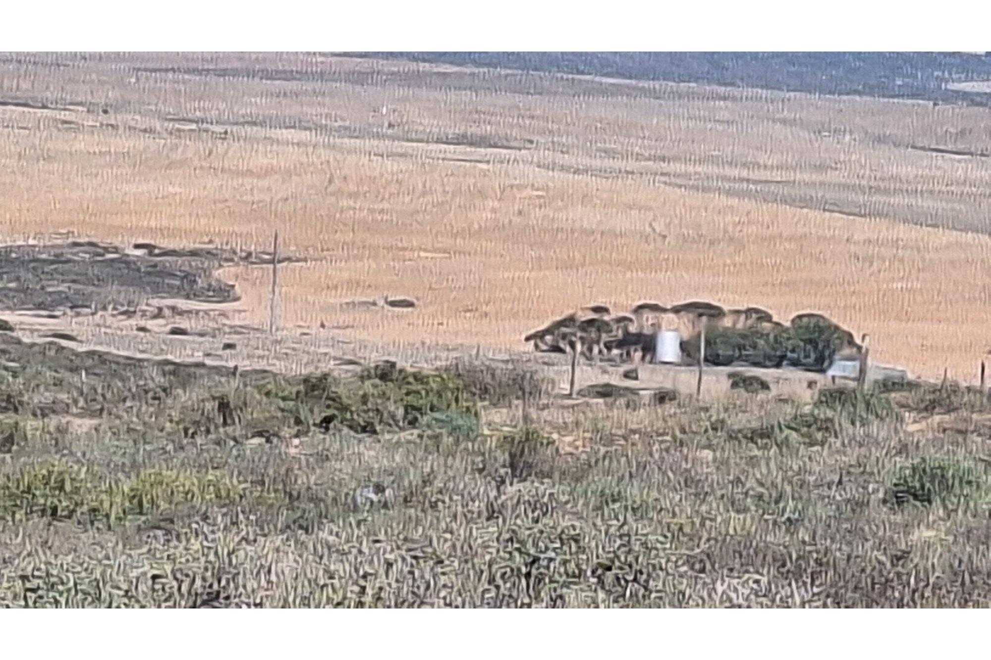 Image 11
