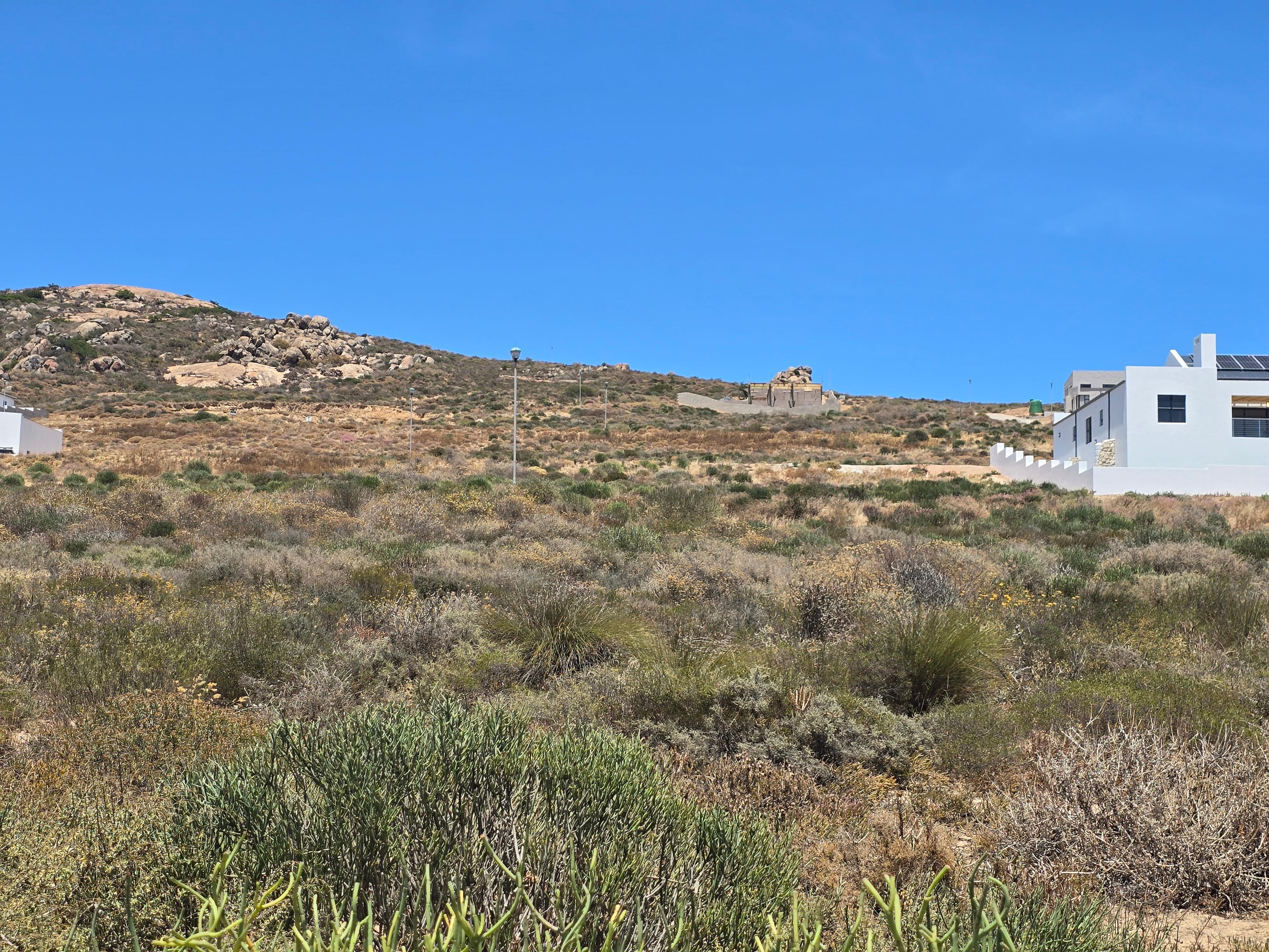 Image 4 of 6
