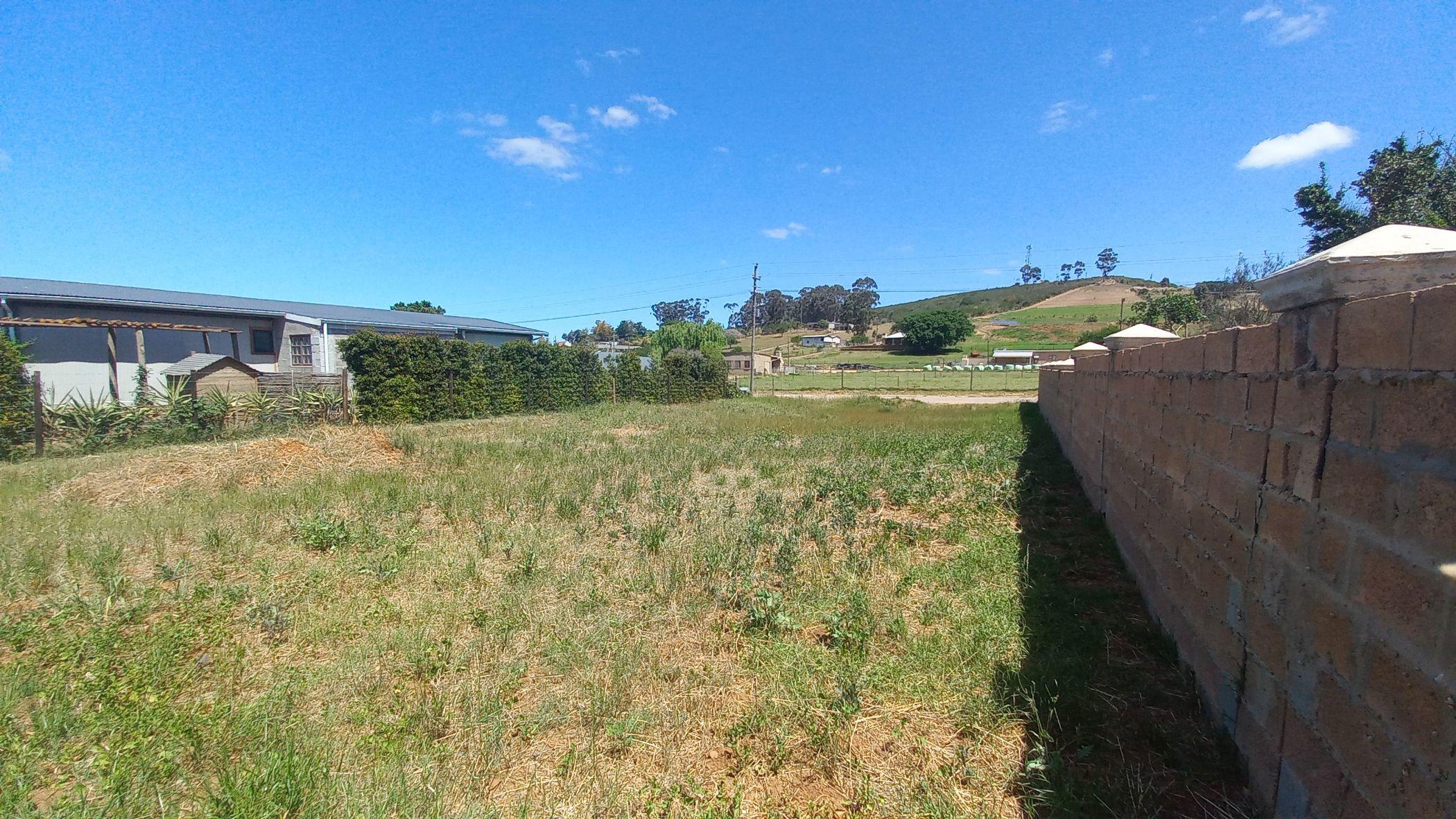 Image 4 of 6