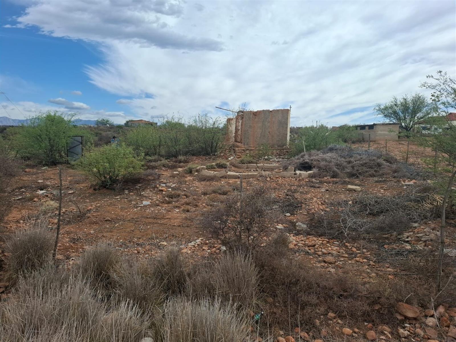 Image 14