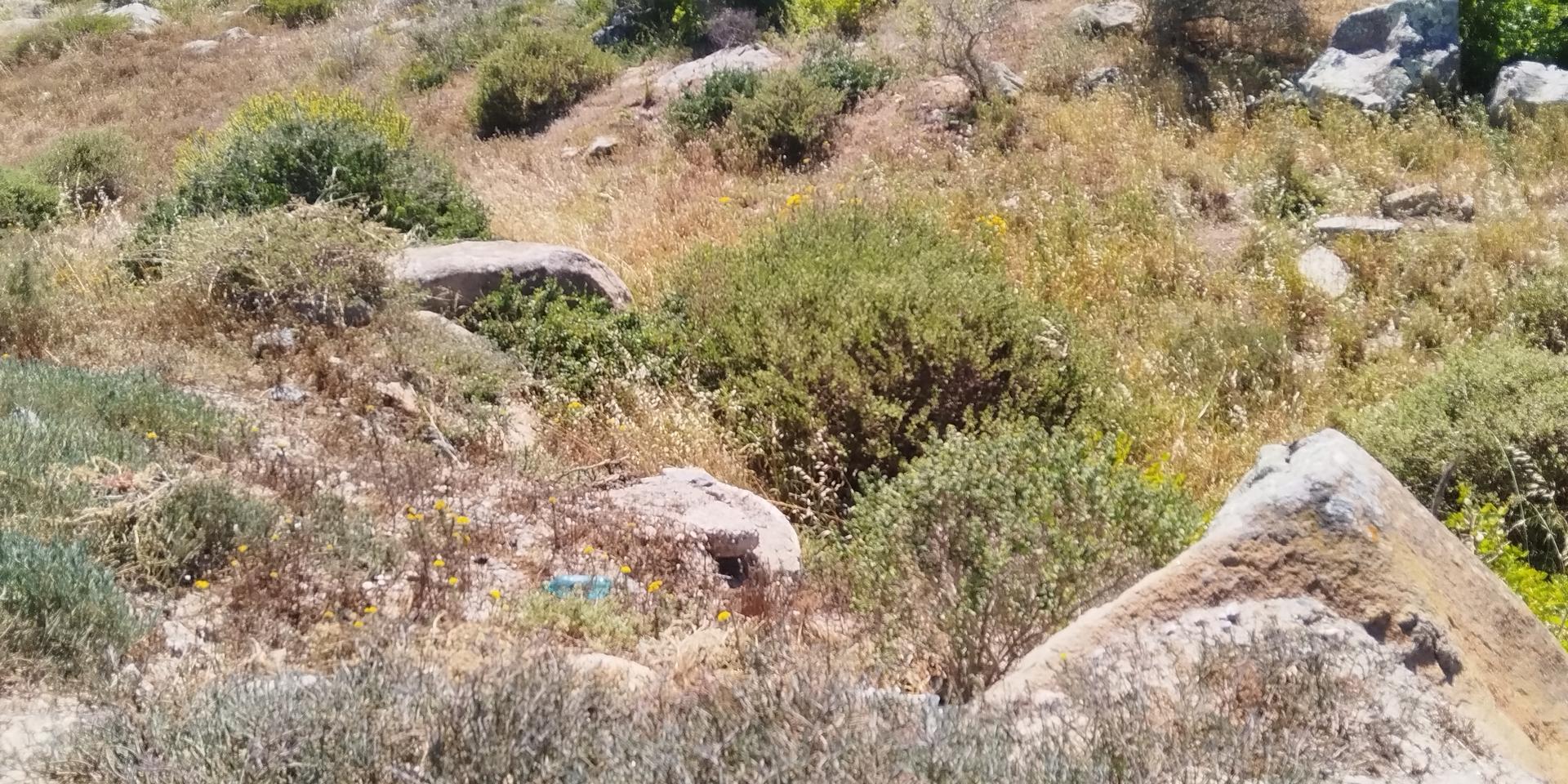 Image 4 of 6