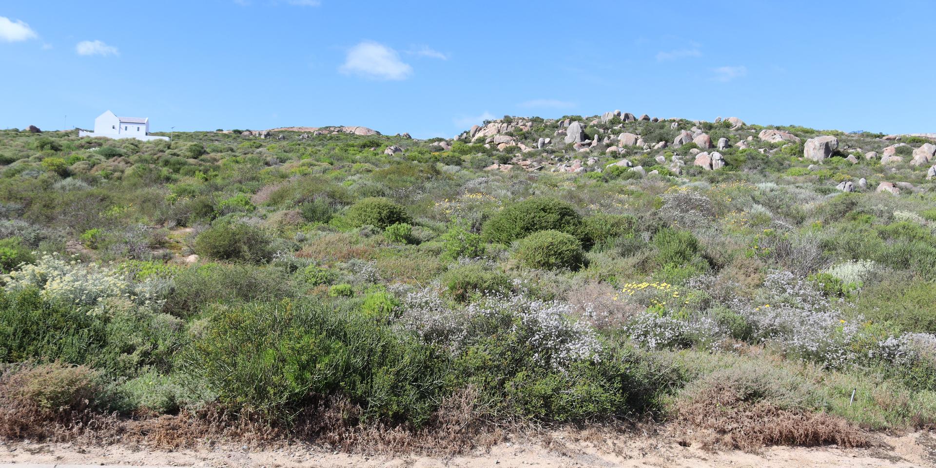 Image 3 of 6