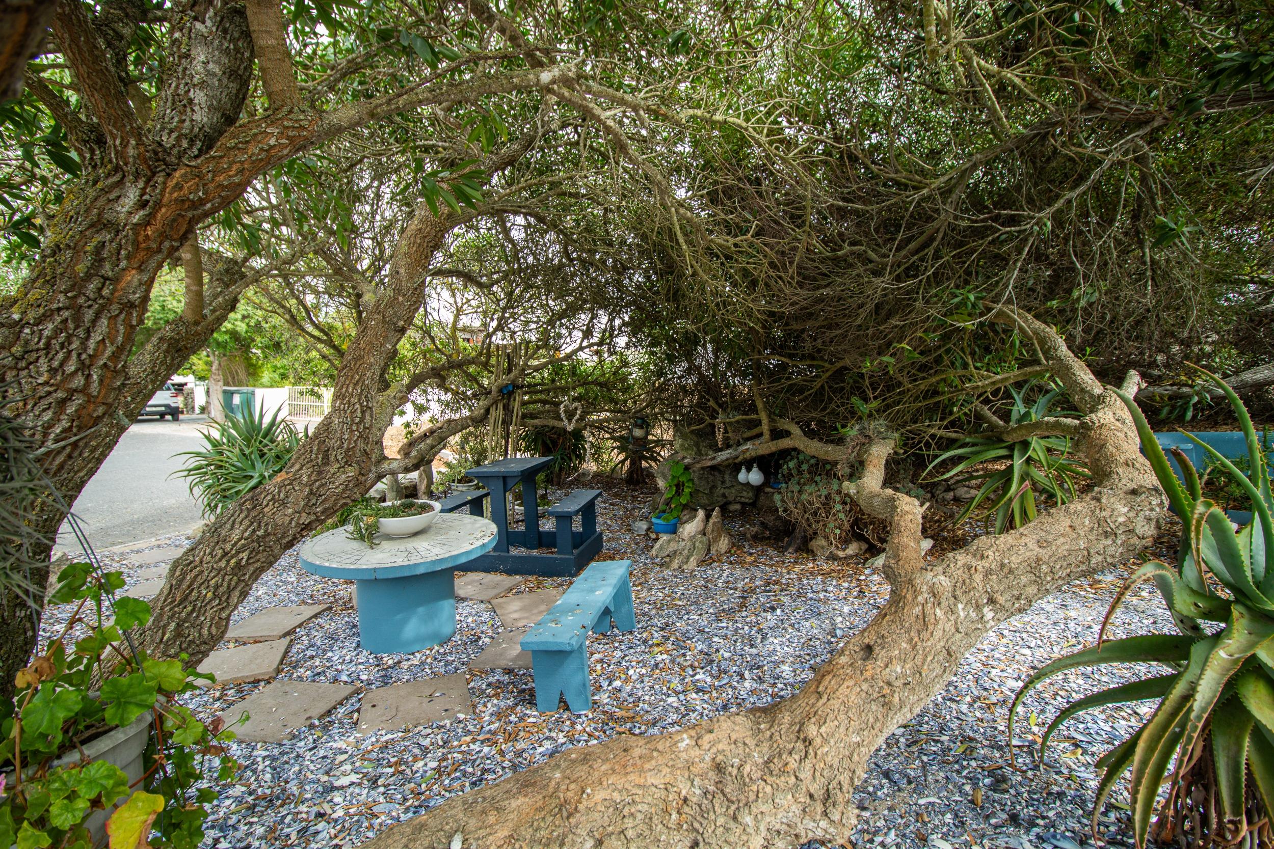 Image 5 of 6